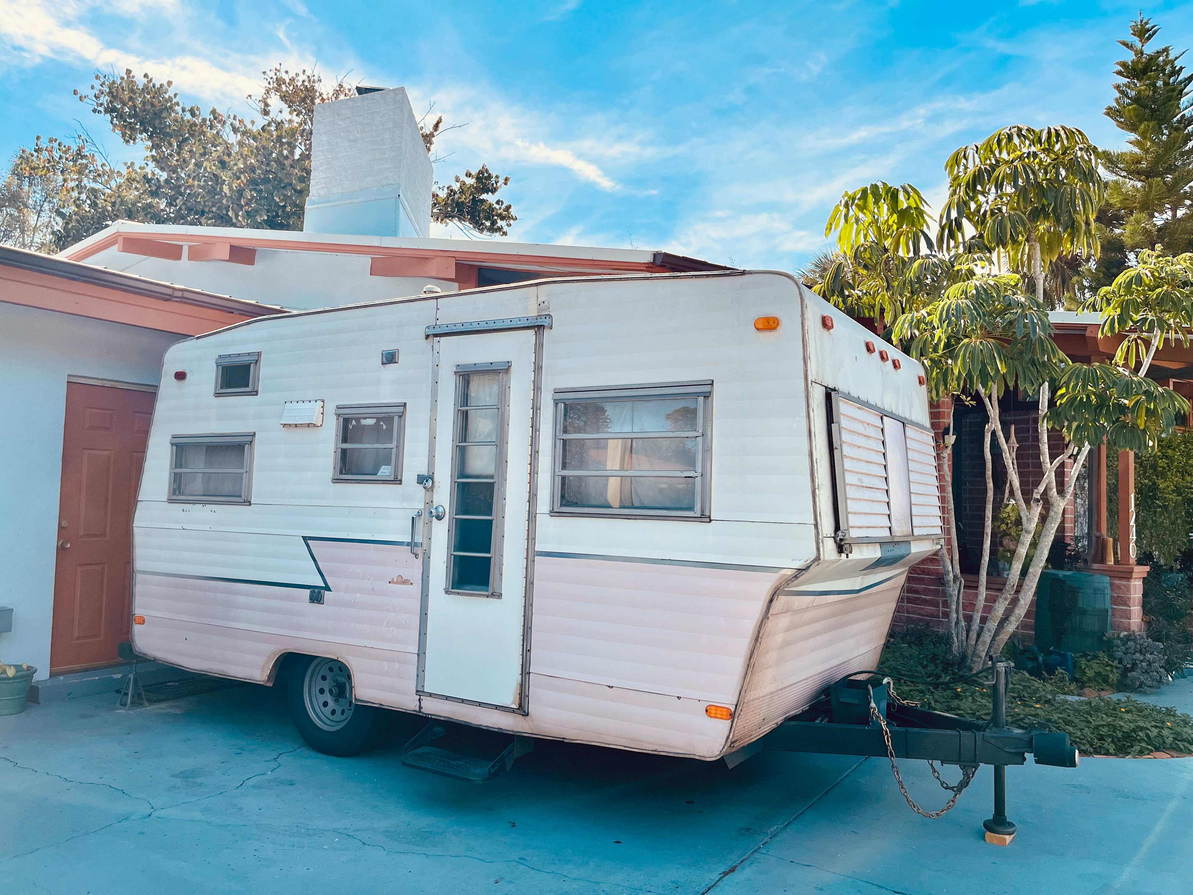 Honey Bunny’s Urban Oasis