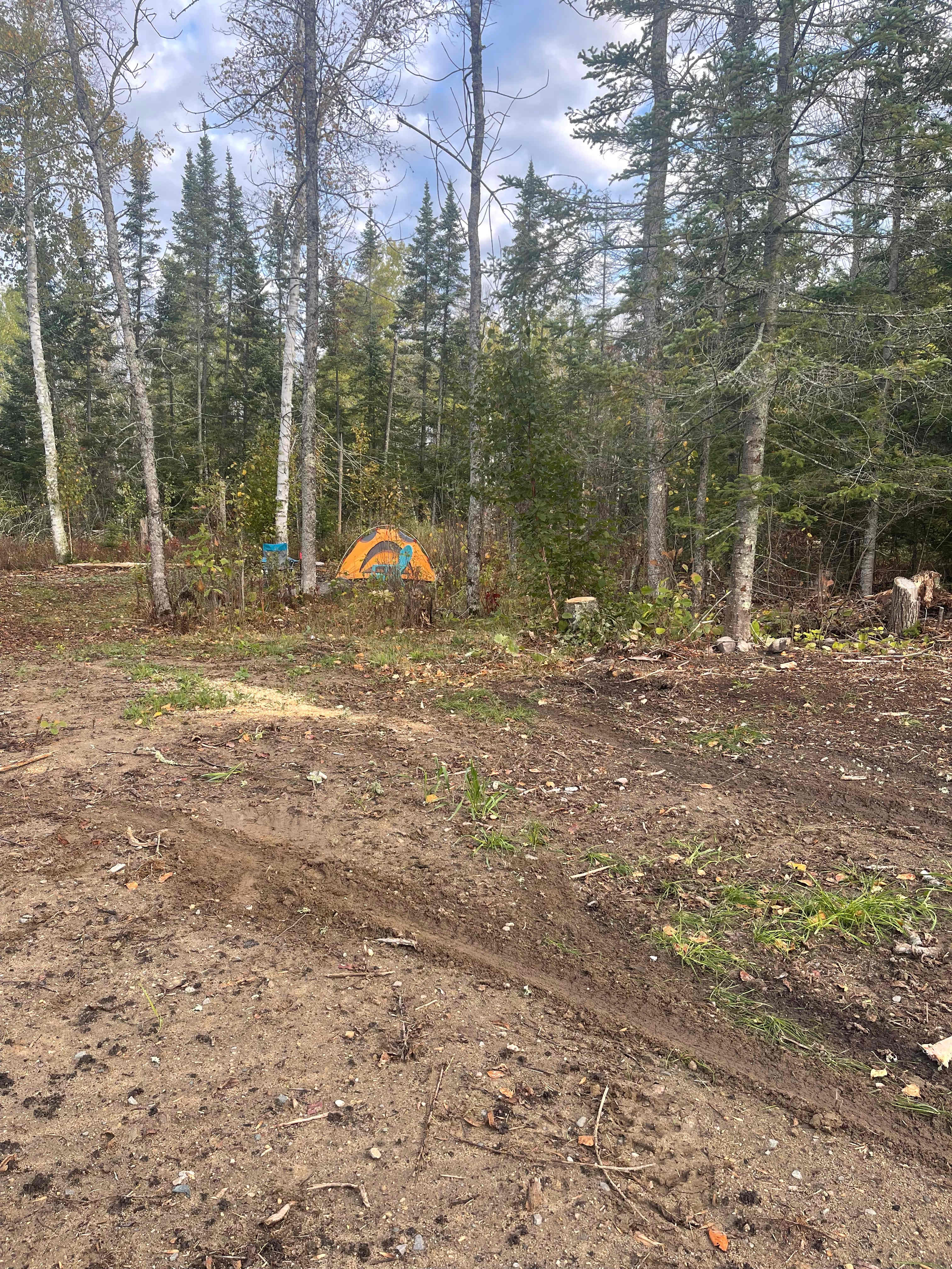 site development before grass...
