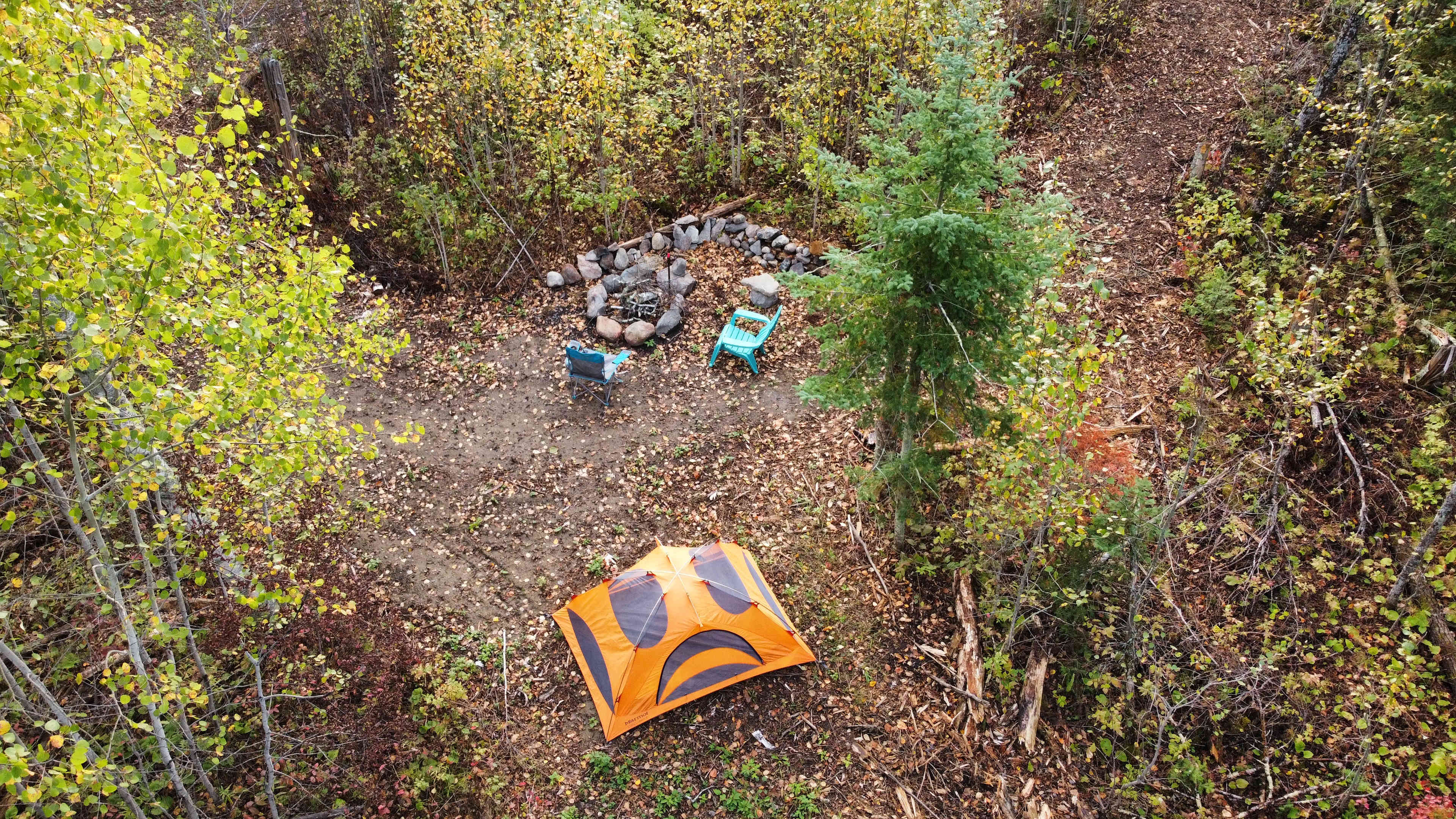 Tamarack Ponds