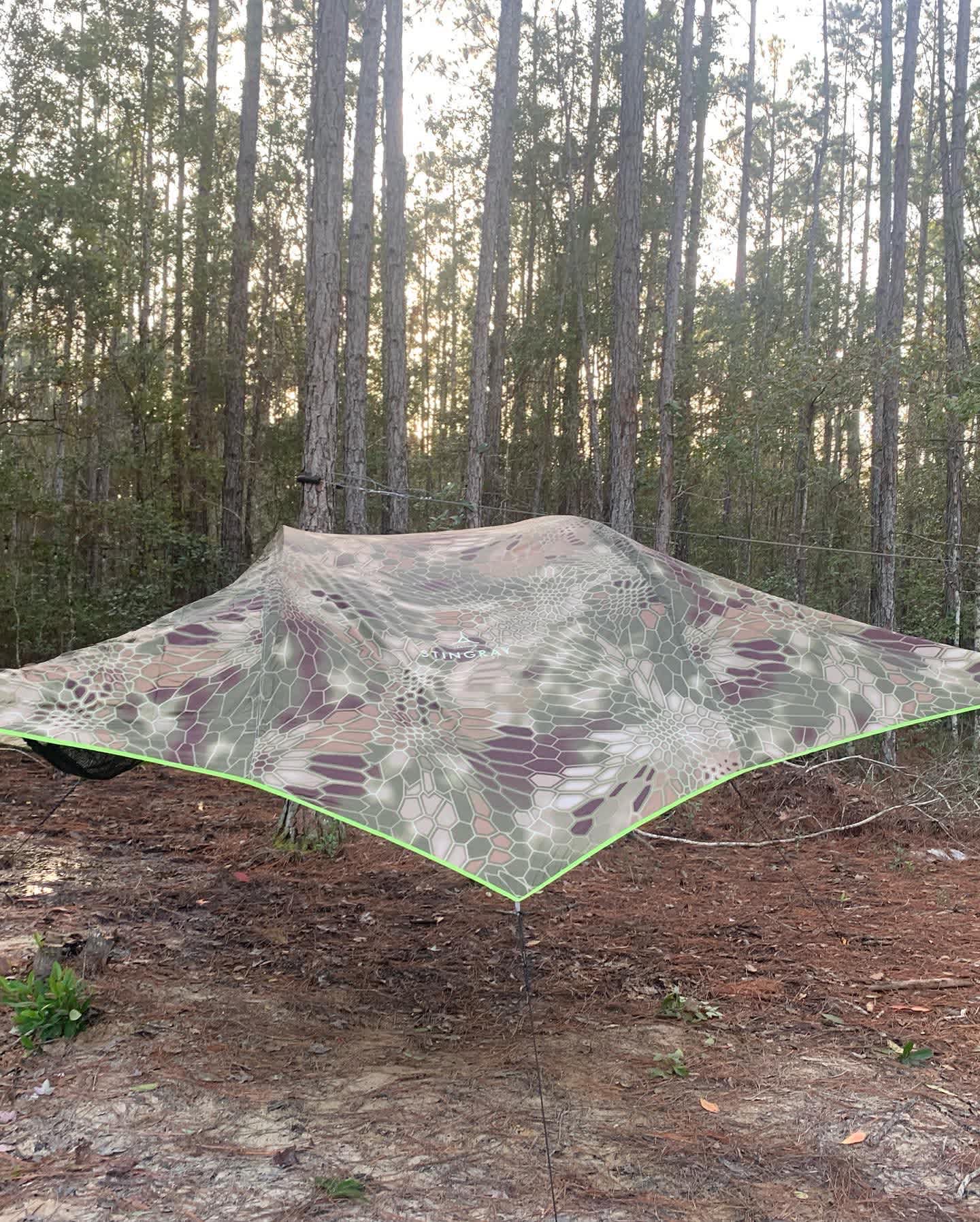 Campsite #1- Ewok Village in the Trees!
We live in Florida, there are TERRIBLE Fire Ants here! Best to camp in the TREES!! 
An entire small, "EWOK-VILLAGE STYLE" region of our 2.5 wooded acres will be dedicated to this project.  EACH tree-tent will be $25/night (including 2 people).  You MAY bring additional regular tent, of your own to use-it is $10/add'l person, per night.