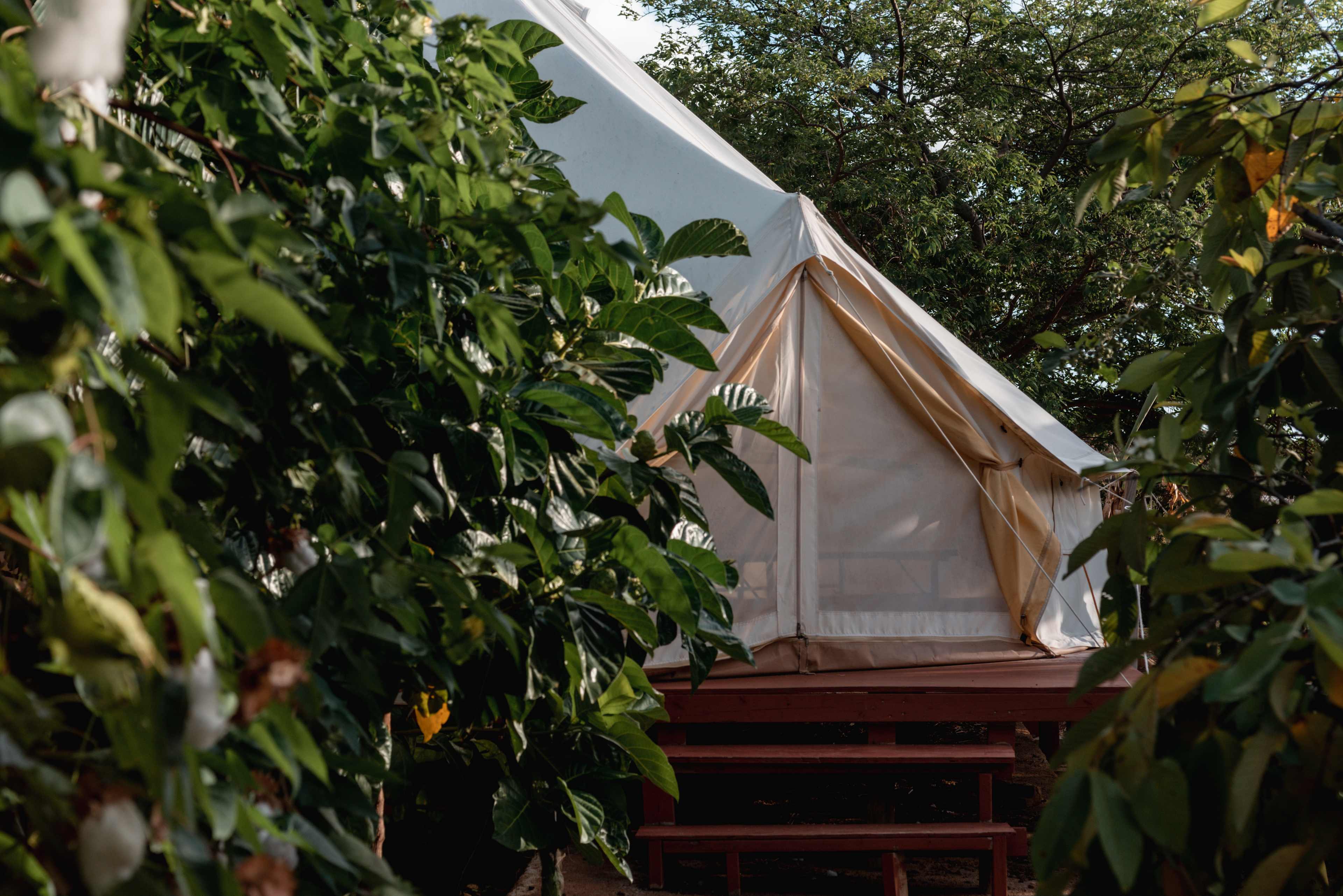 Sun Farm Hawaii @ Koko Head