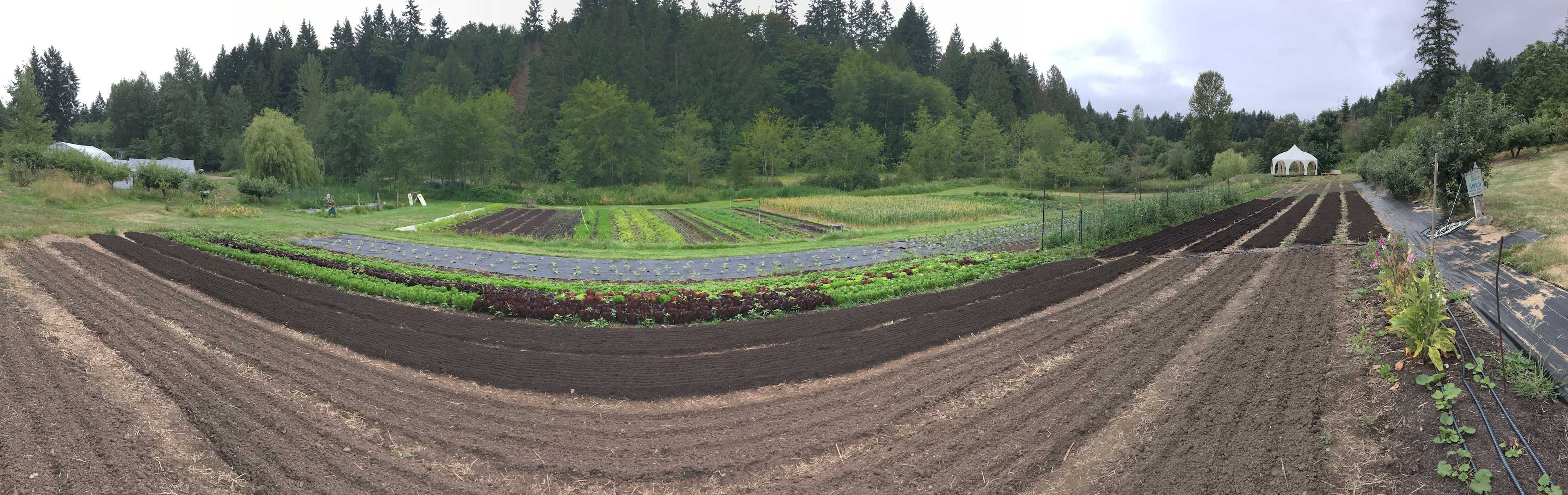 Duck Creek Farm