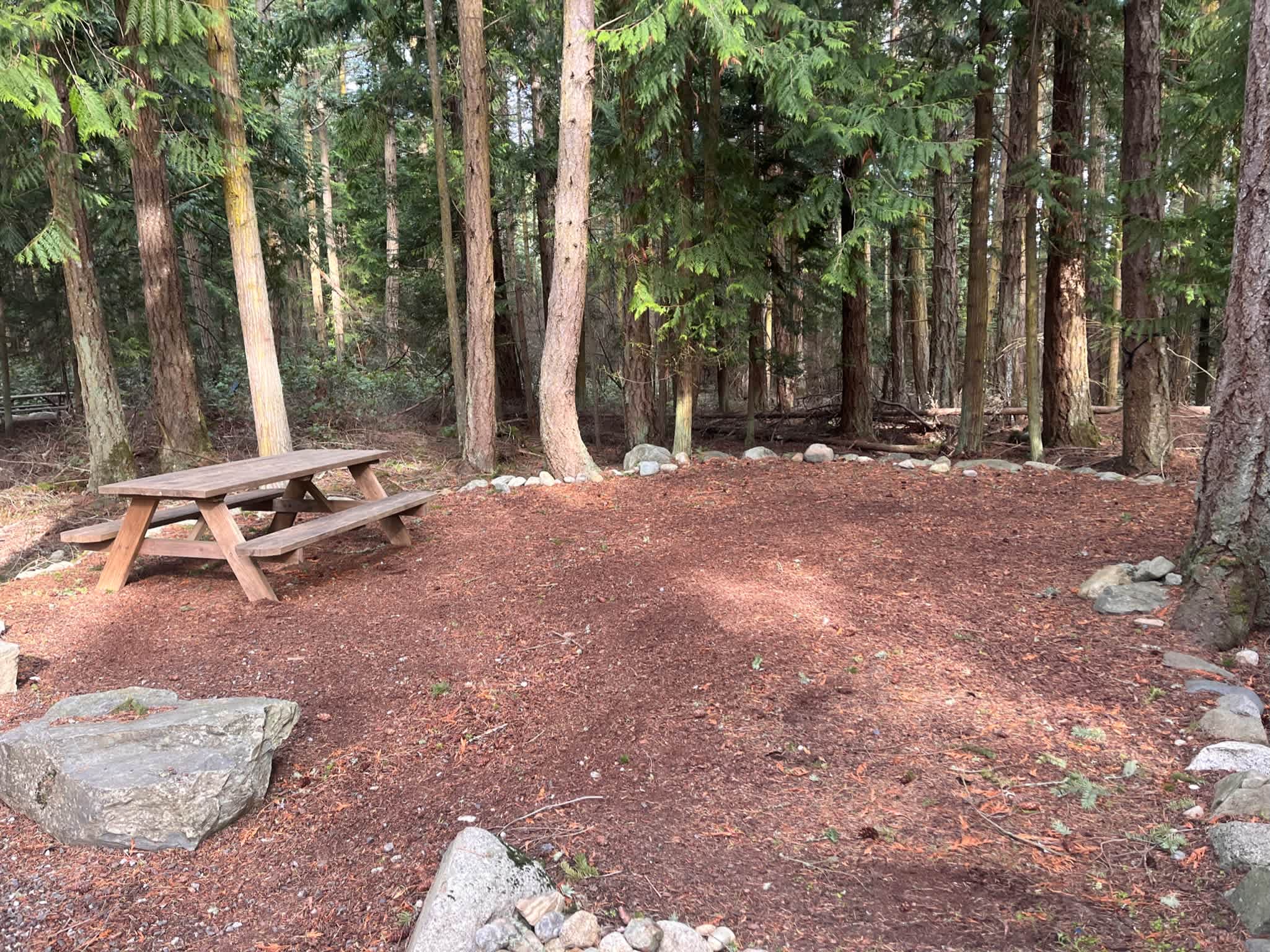Serene Camping on Lopez Island