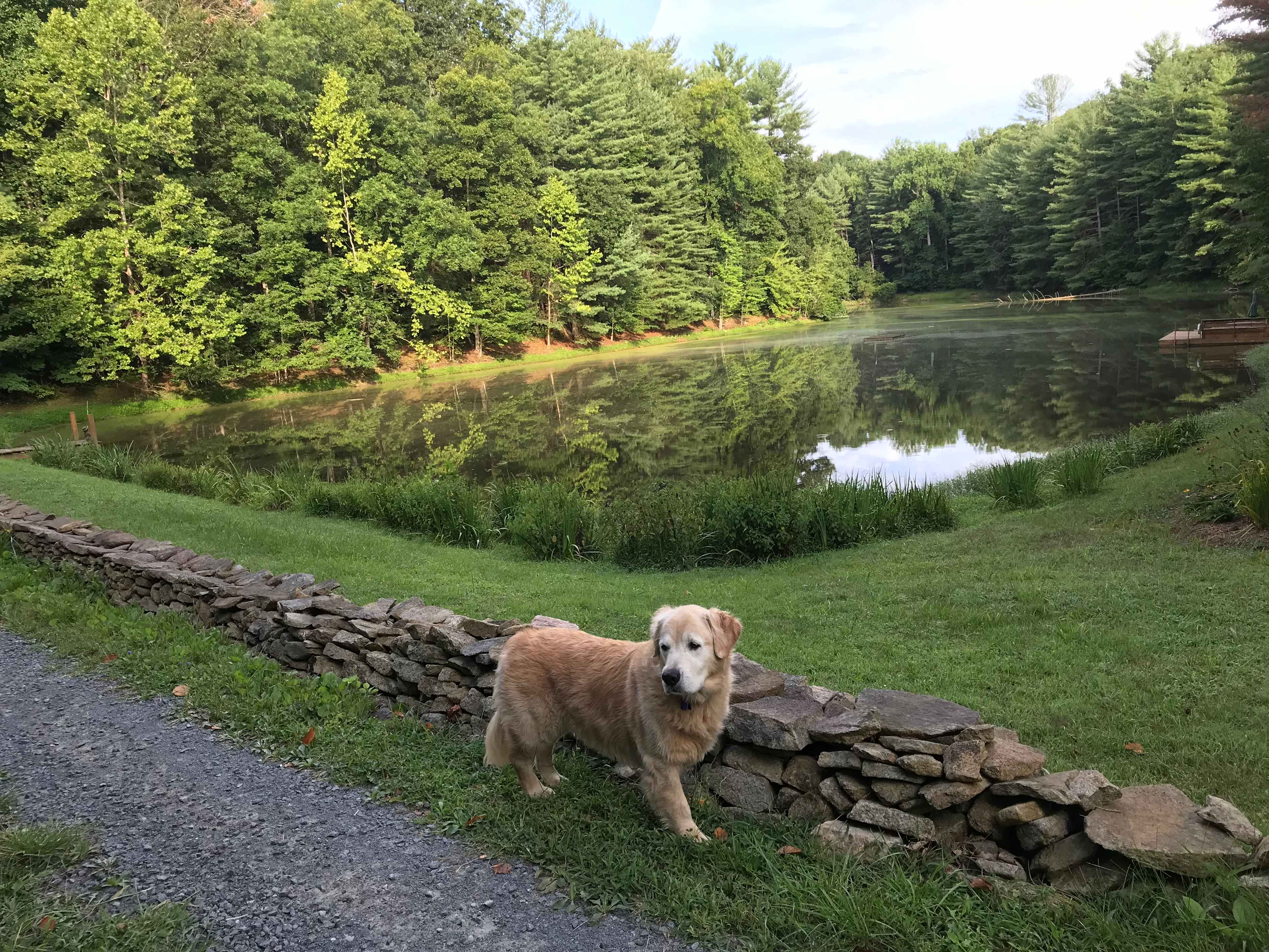 Beaver Cove