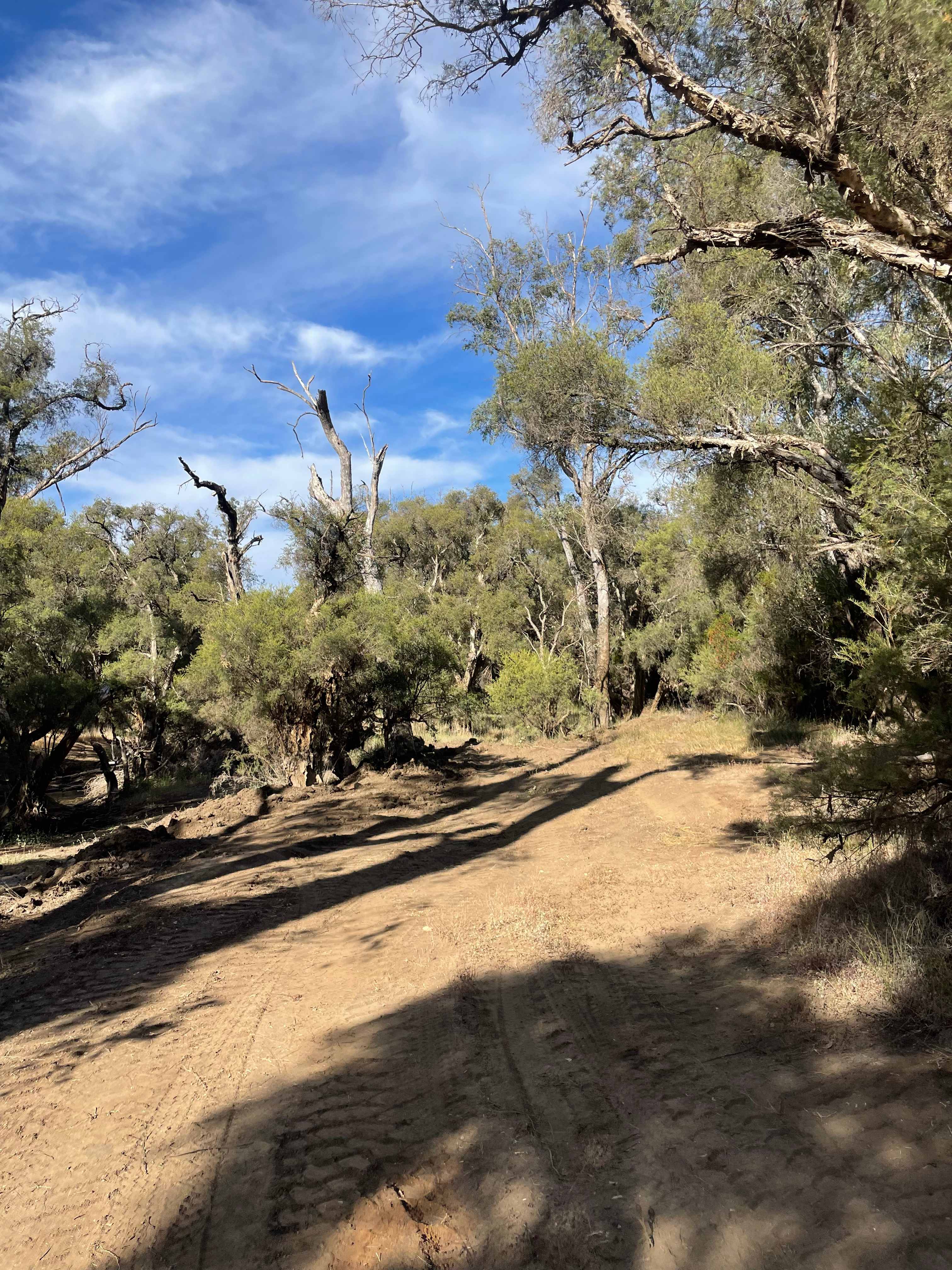 Murray Valley Camping