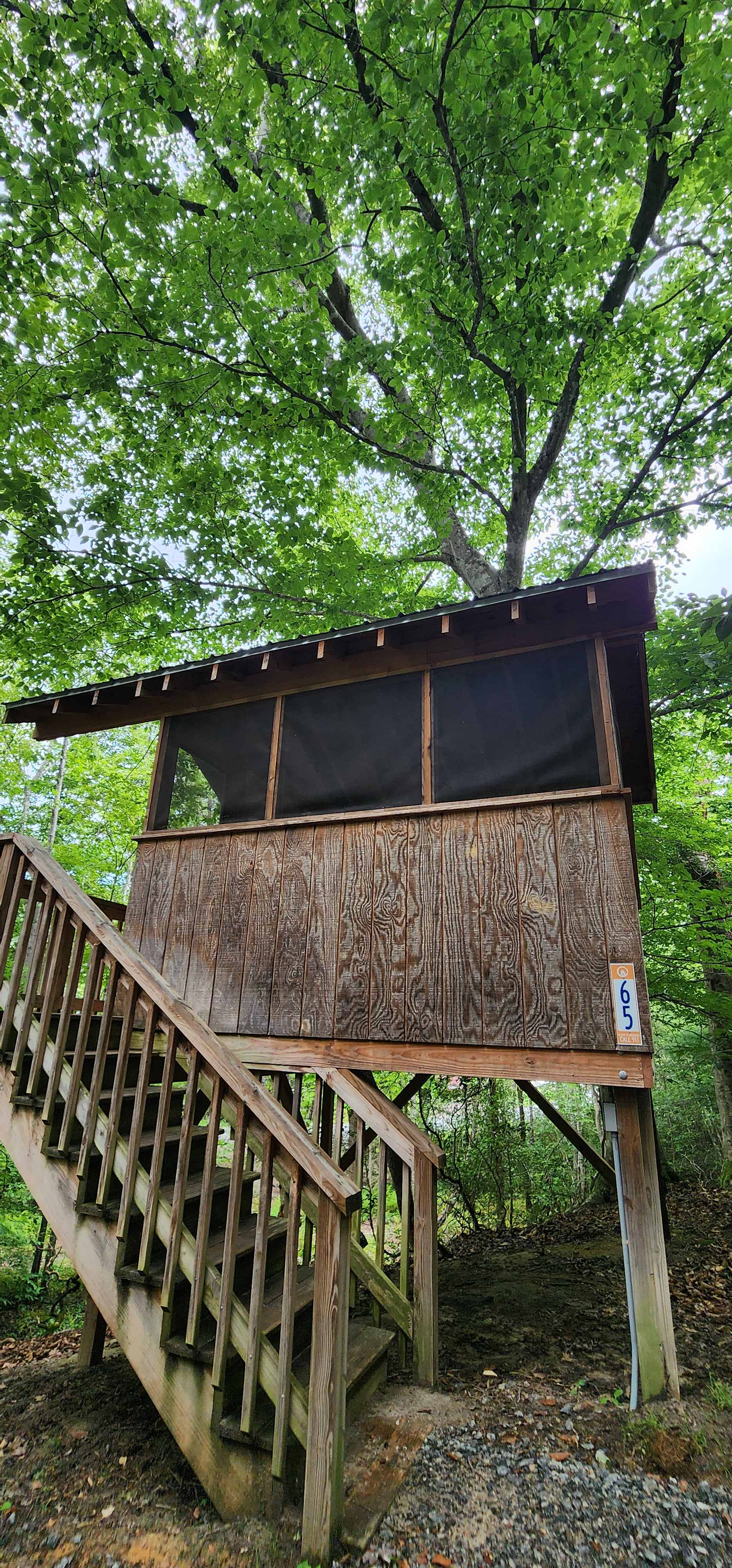 Picture of the site