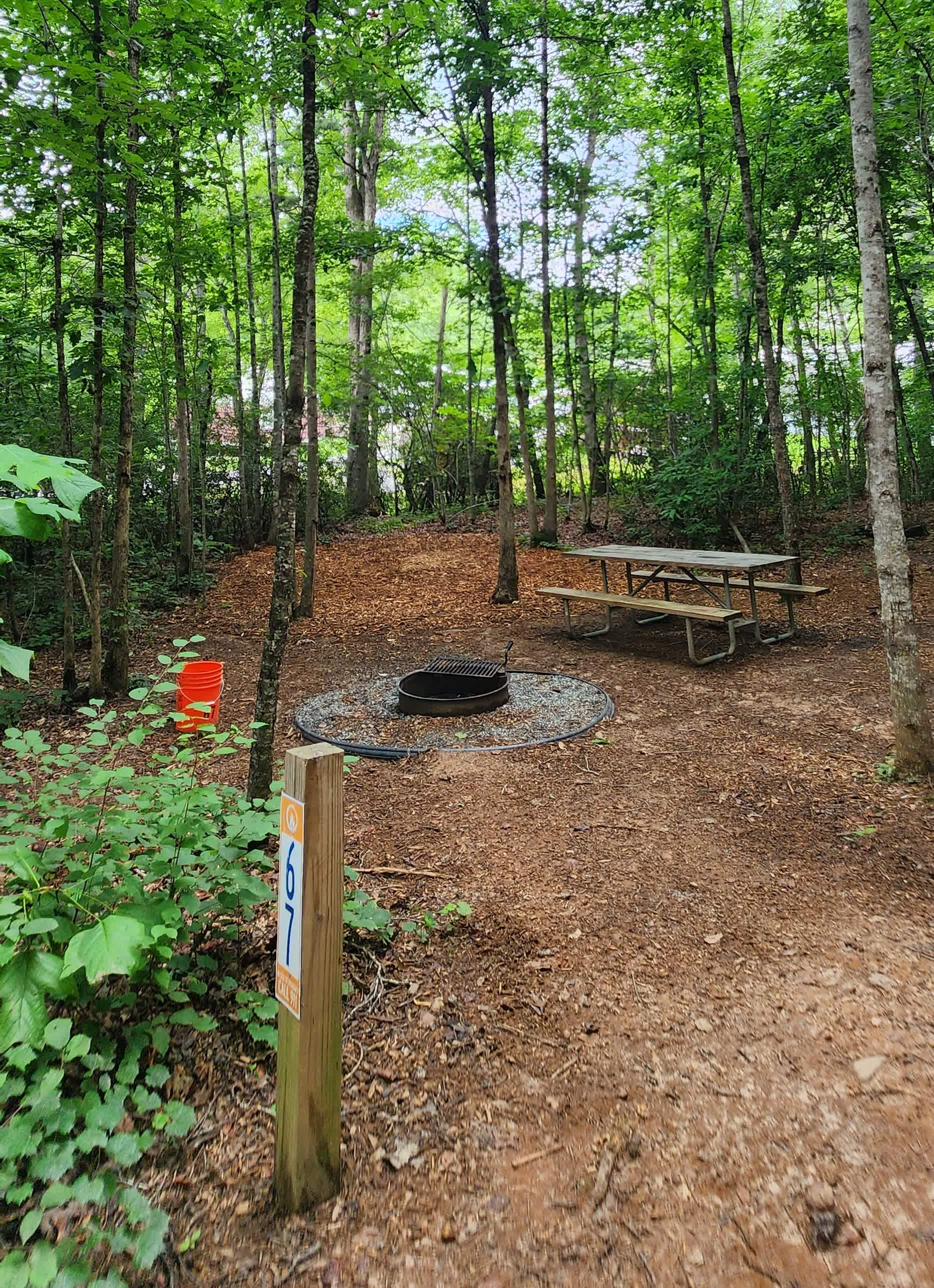 Picture of the site