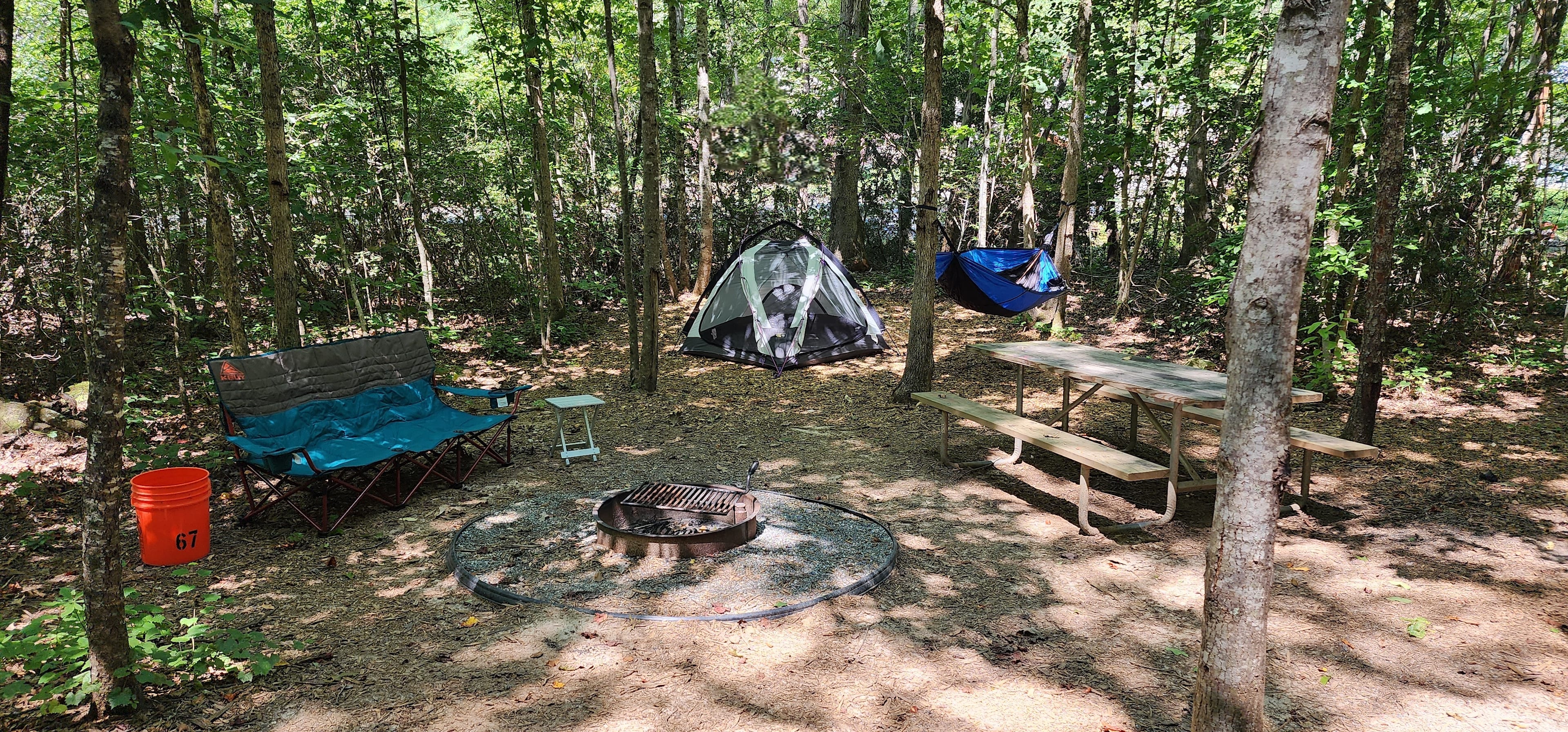 Picture of the site