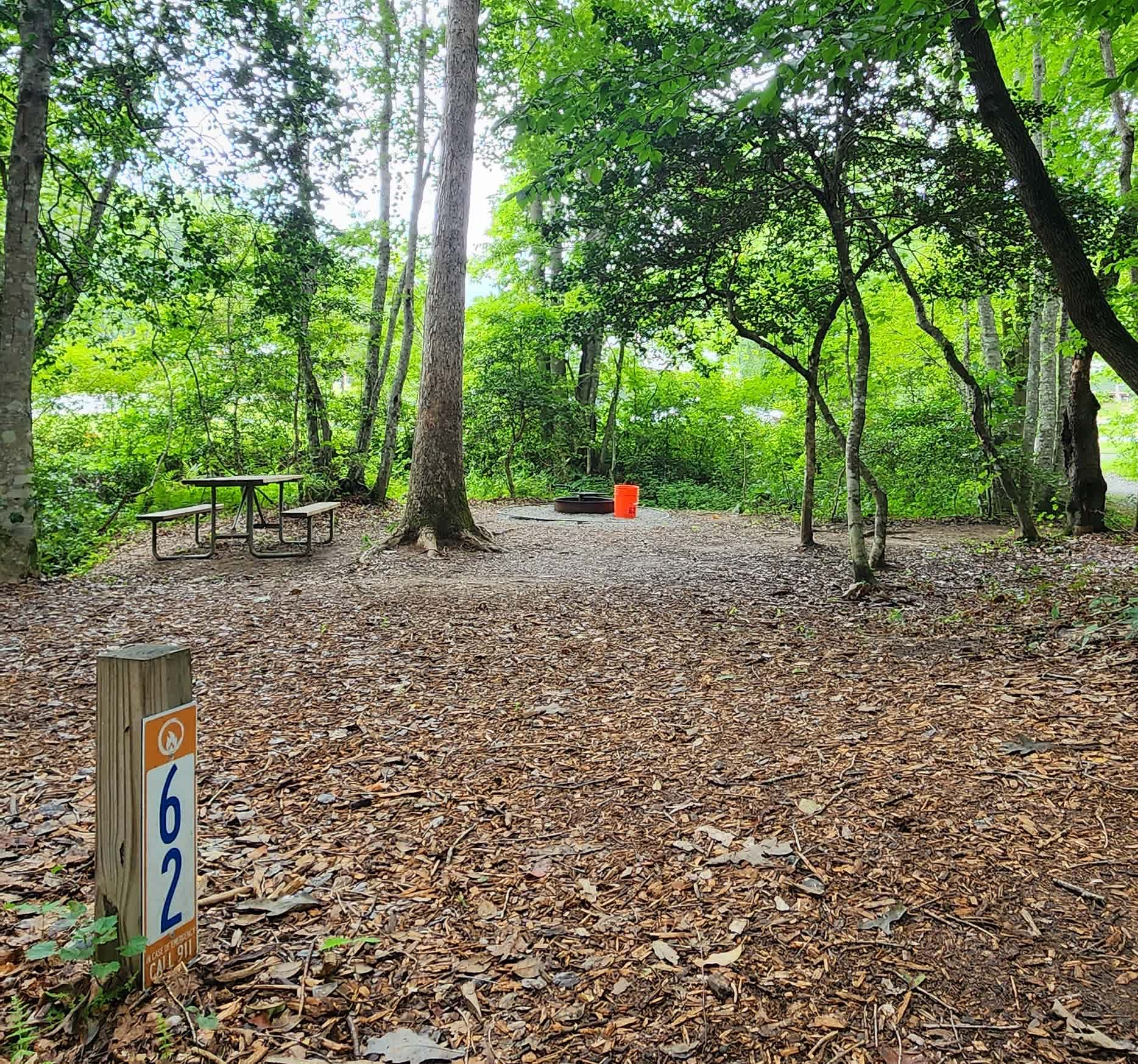 Picture of the site