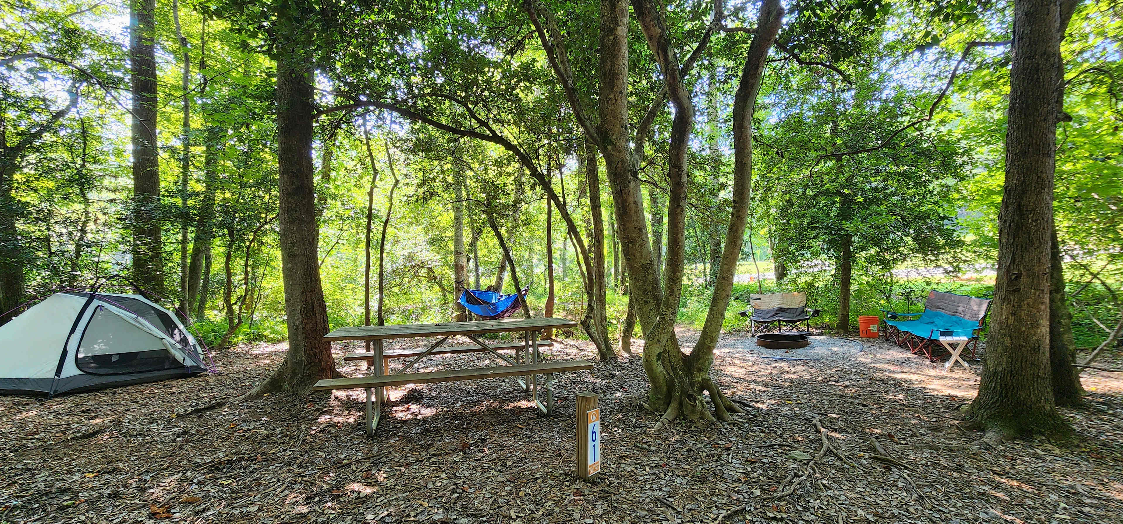 Picture of the site