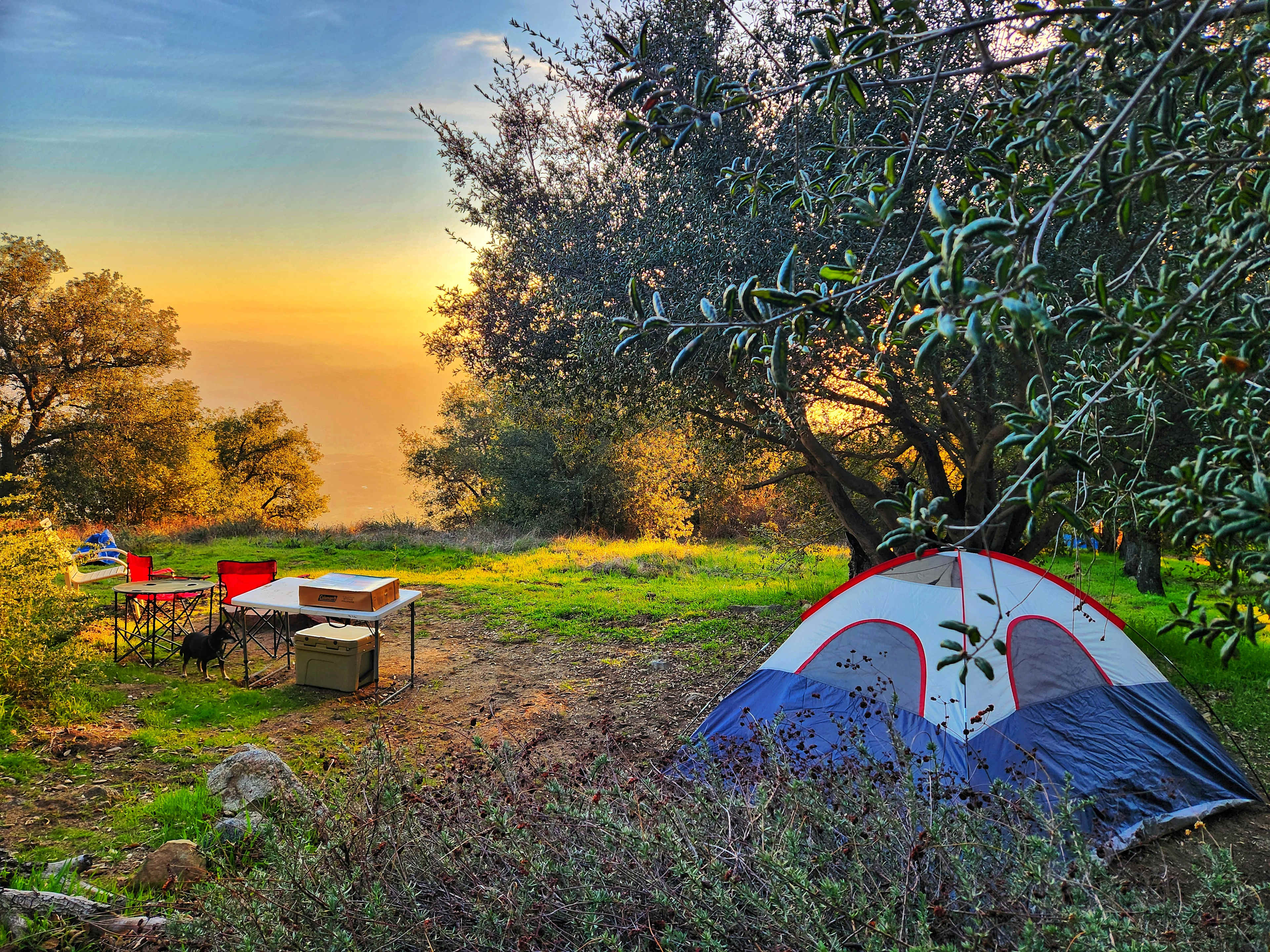 Magical Harrison Serenity Ranch