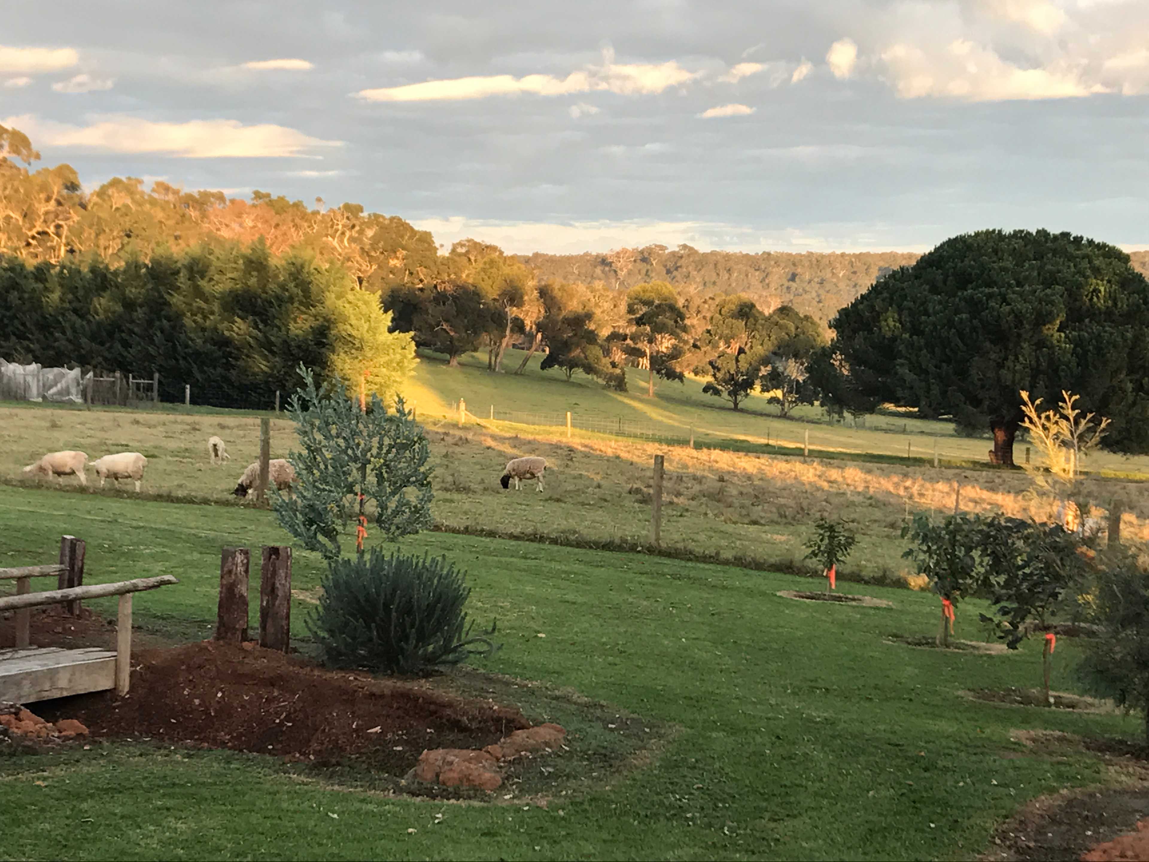 The Grange on Kalgan