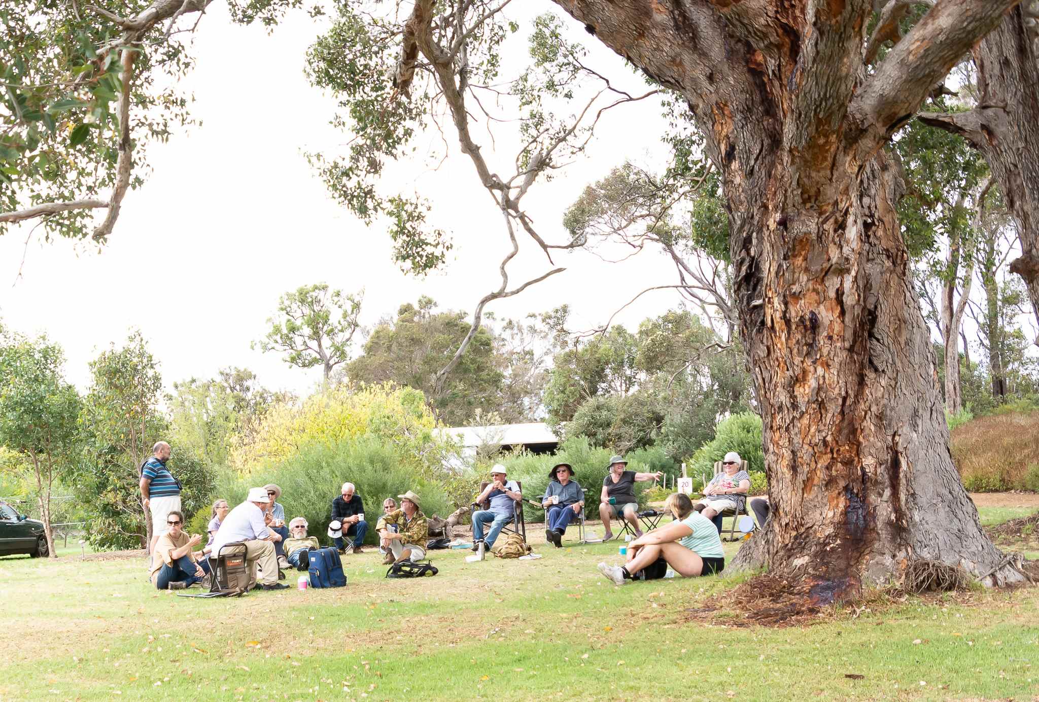 The Grange on Kalgan
