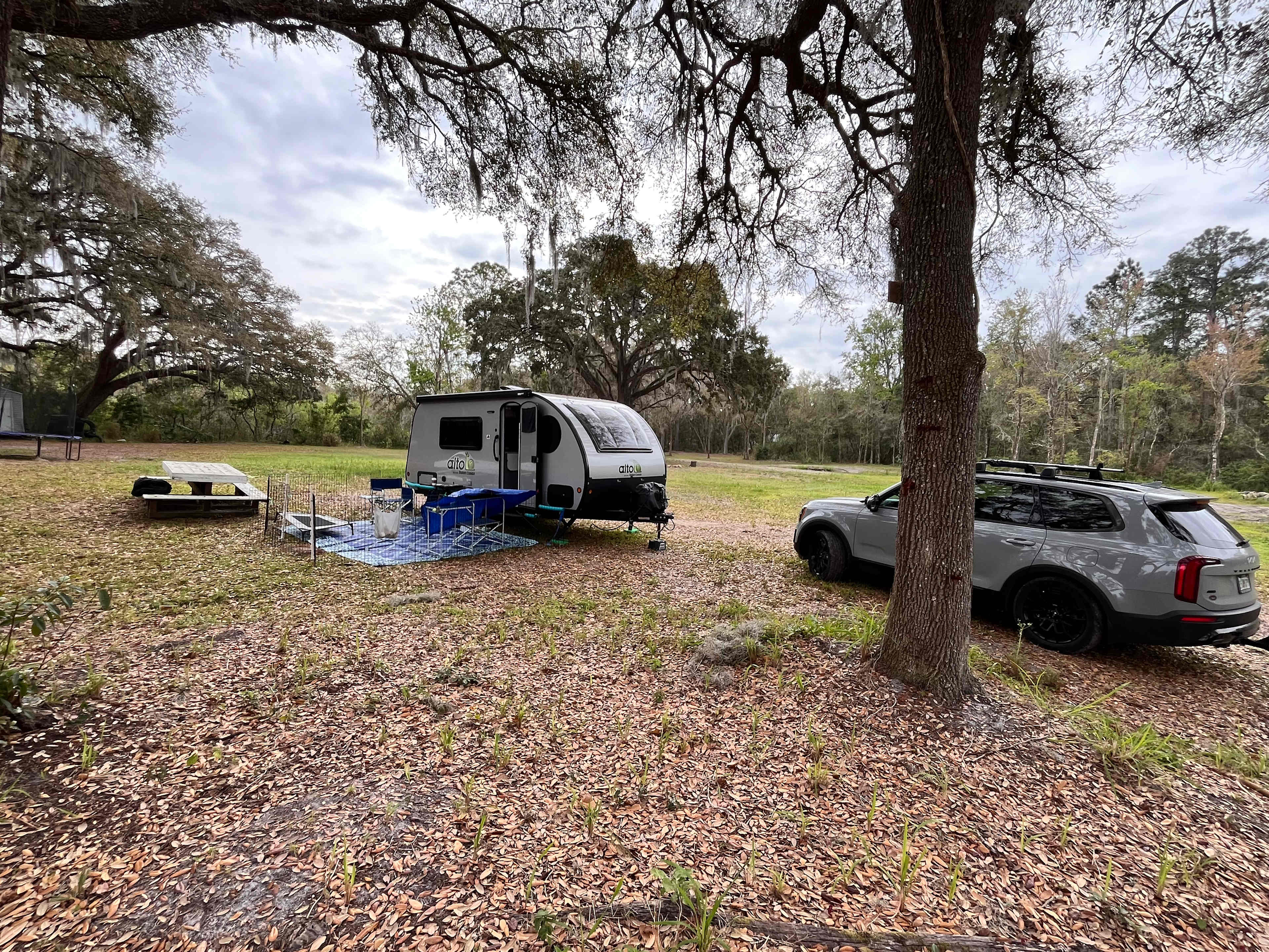 Picture of the site