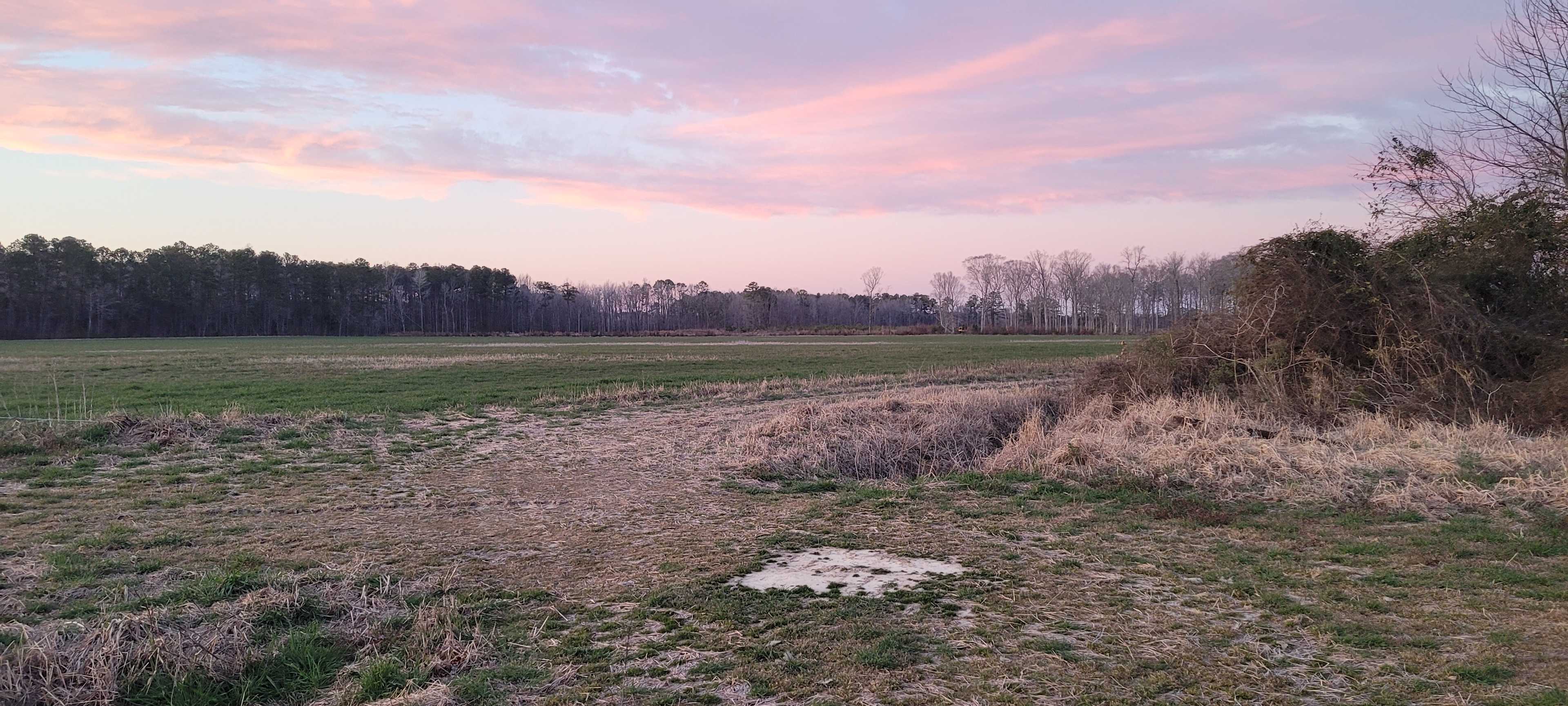 Wide Open Spaces