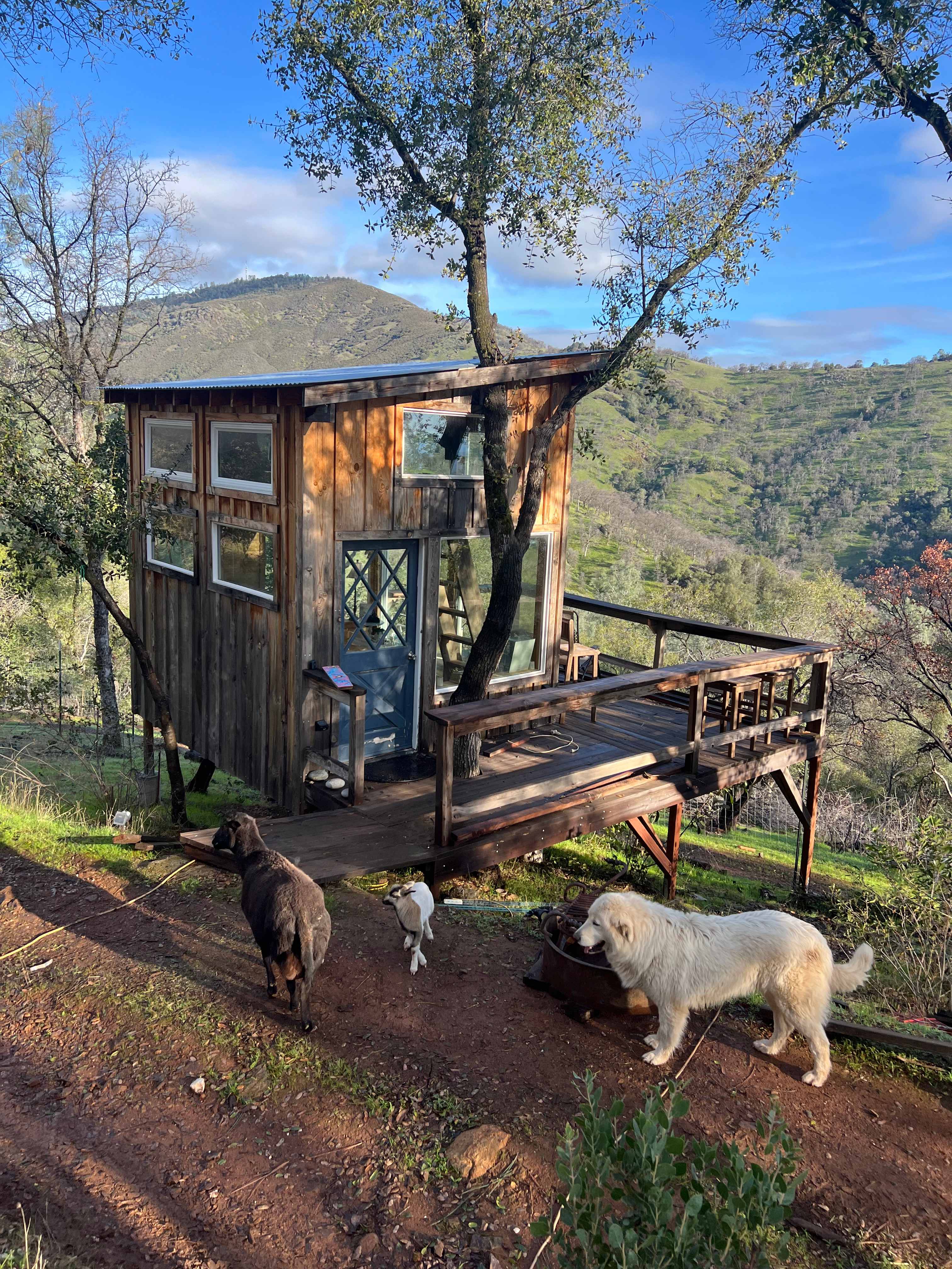 Enjoy the loft twin bed and the reading couch next to the view.