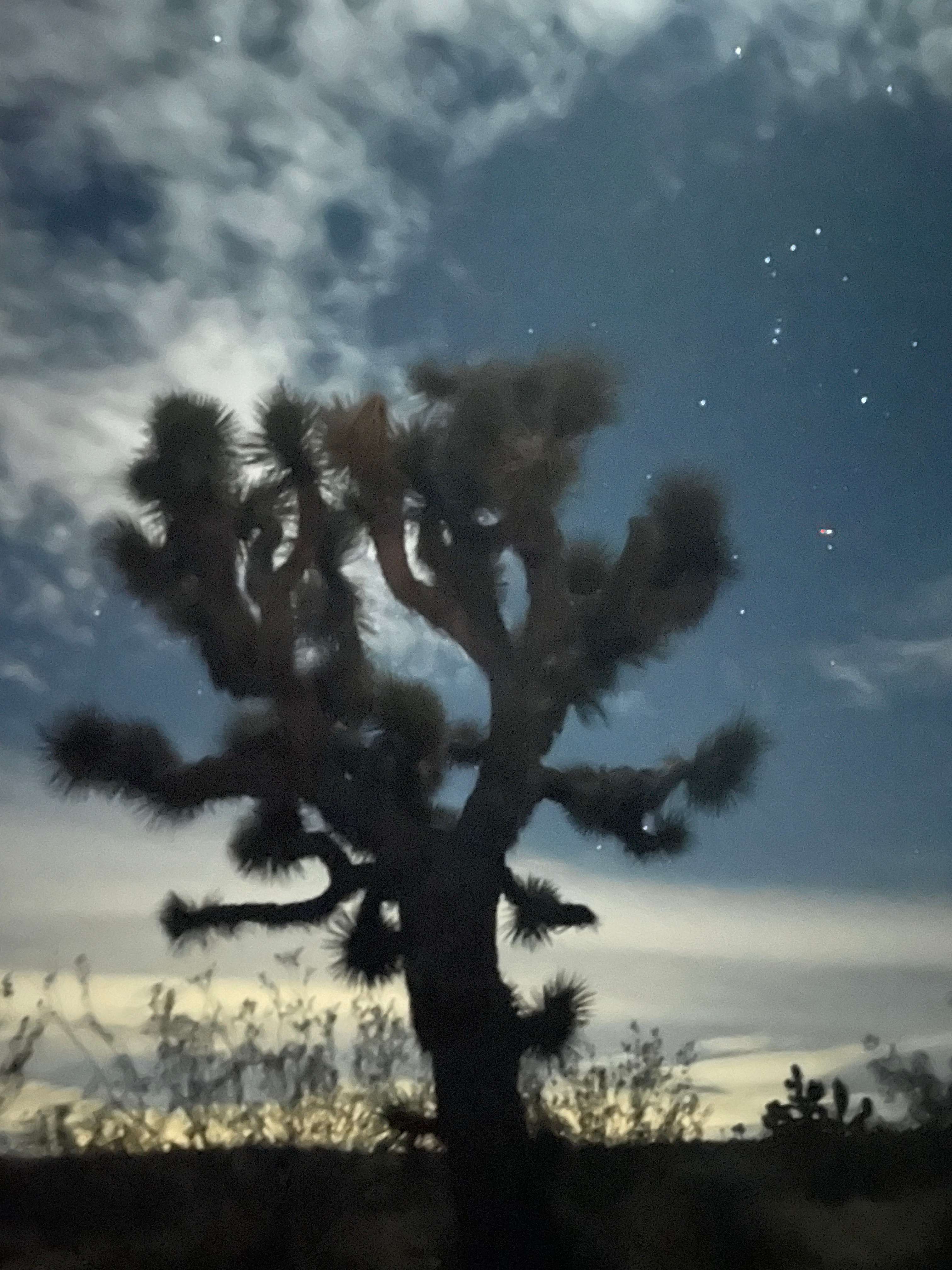 Serene! 15 min to Joshua Natl Park