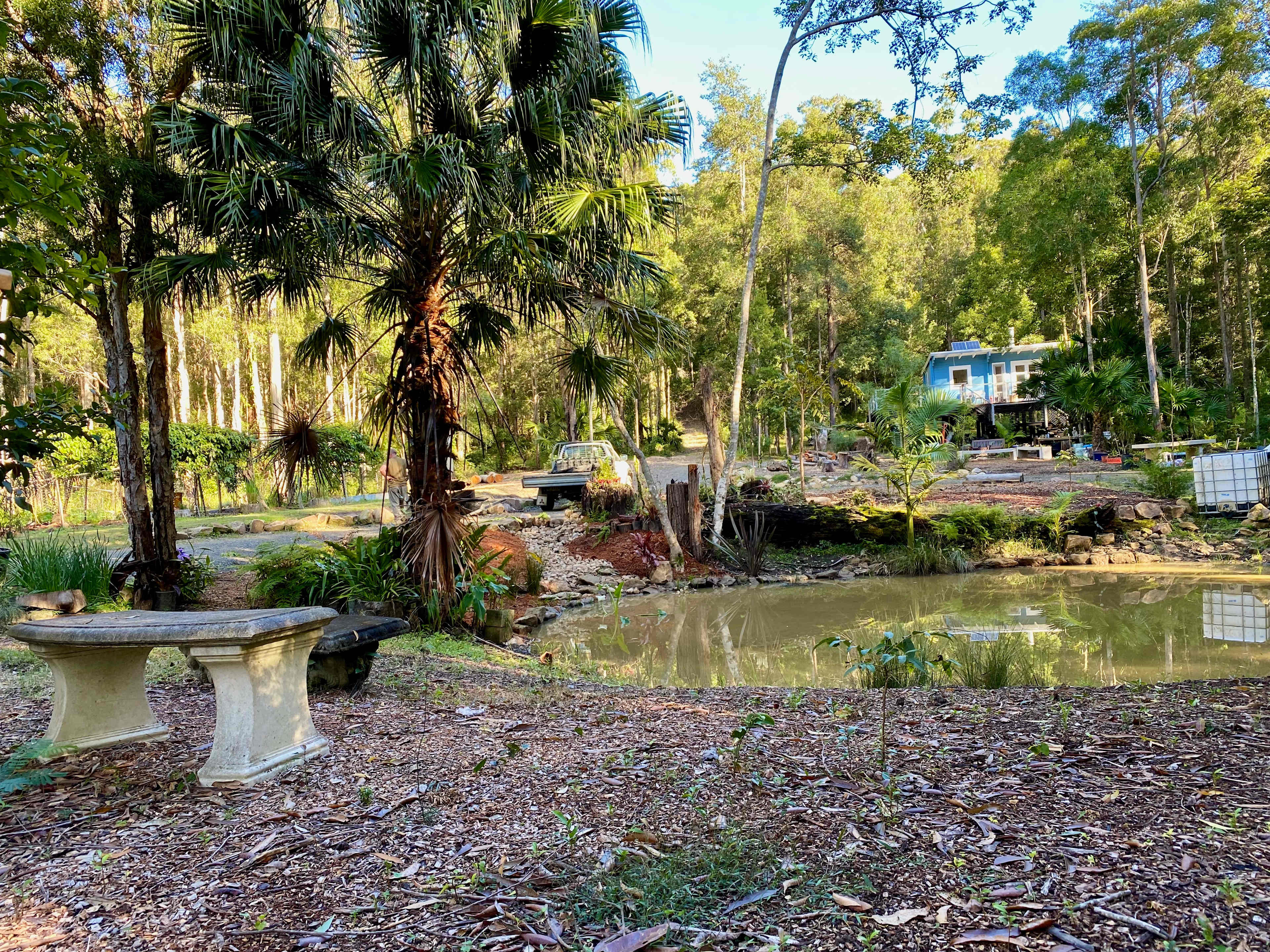 Wombat's Forrest