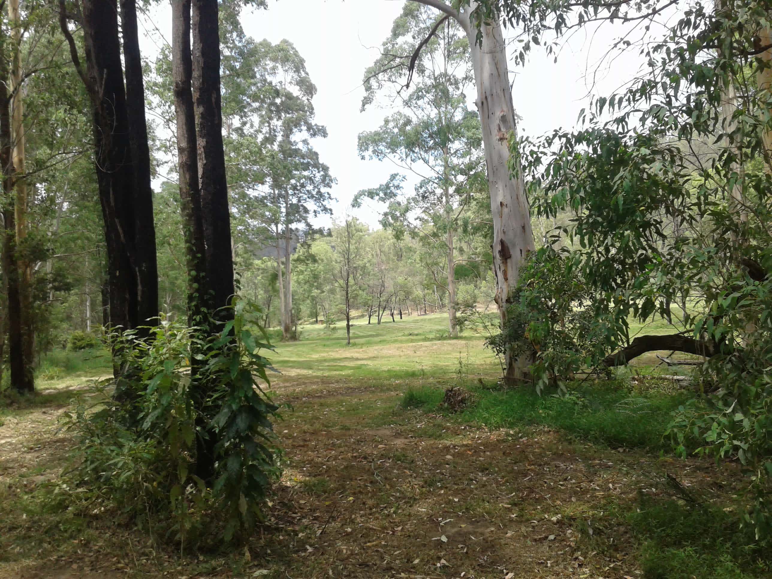 Wollombi Private Earthways camp