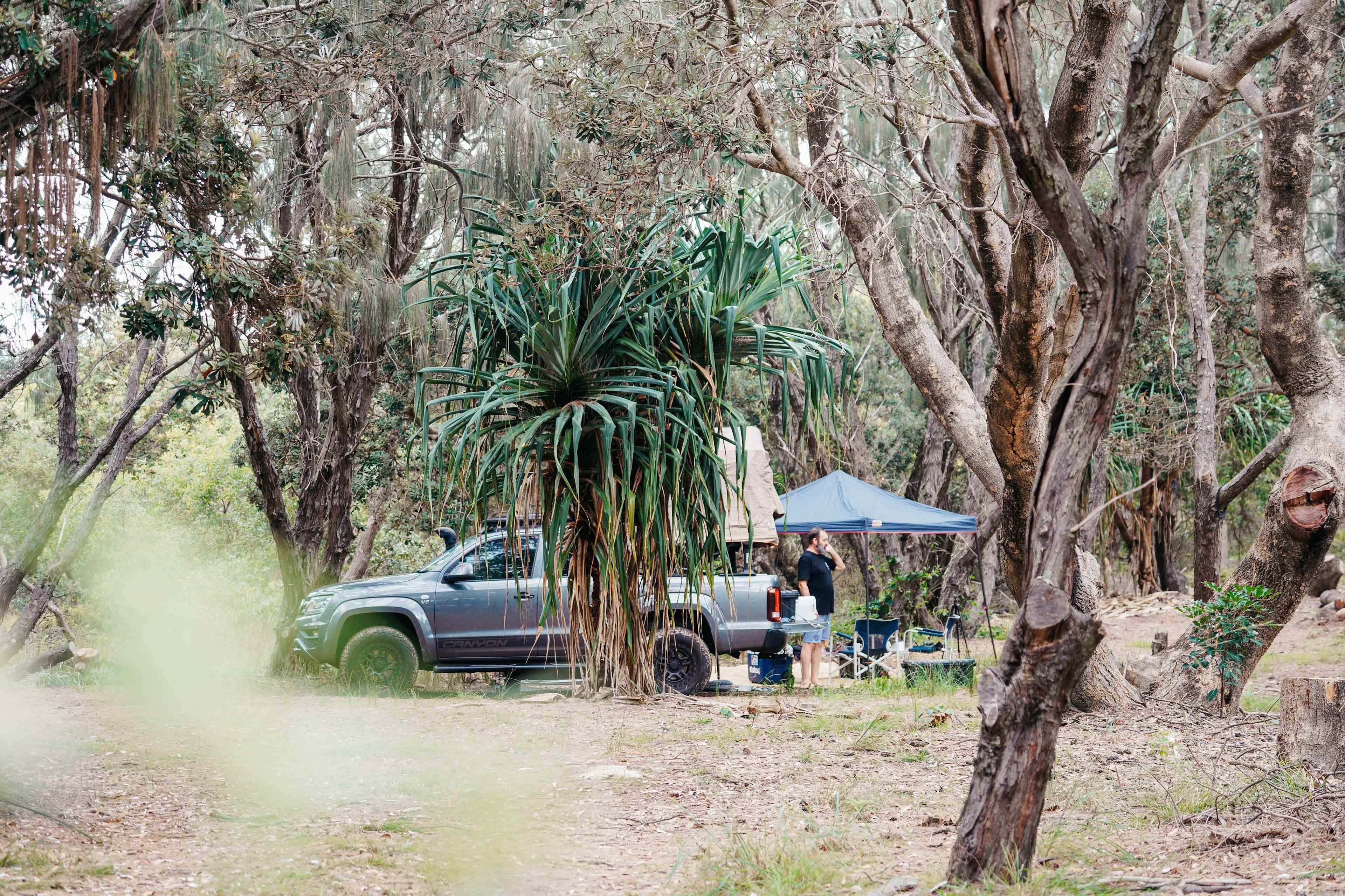 nestled in amongst the trees