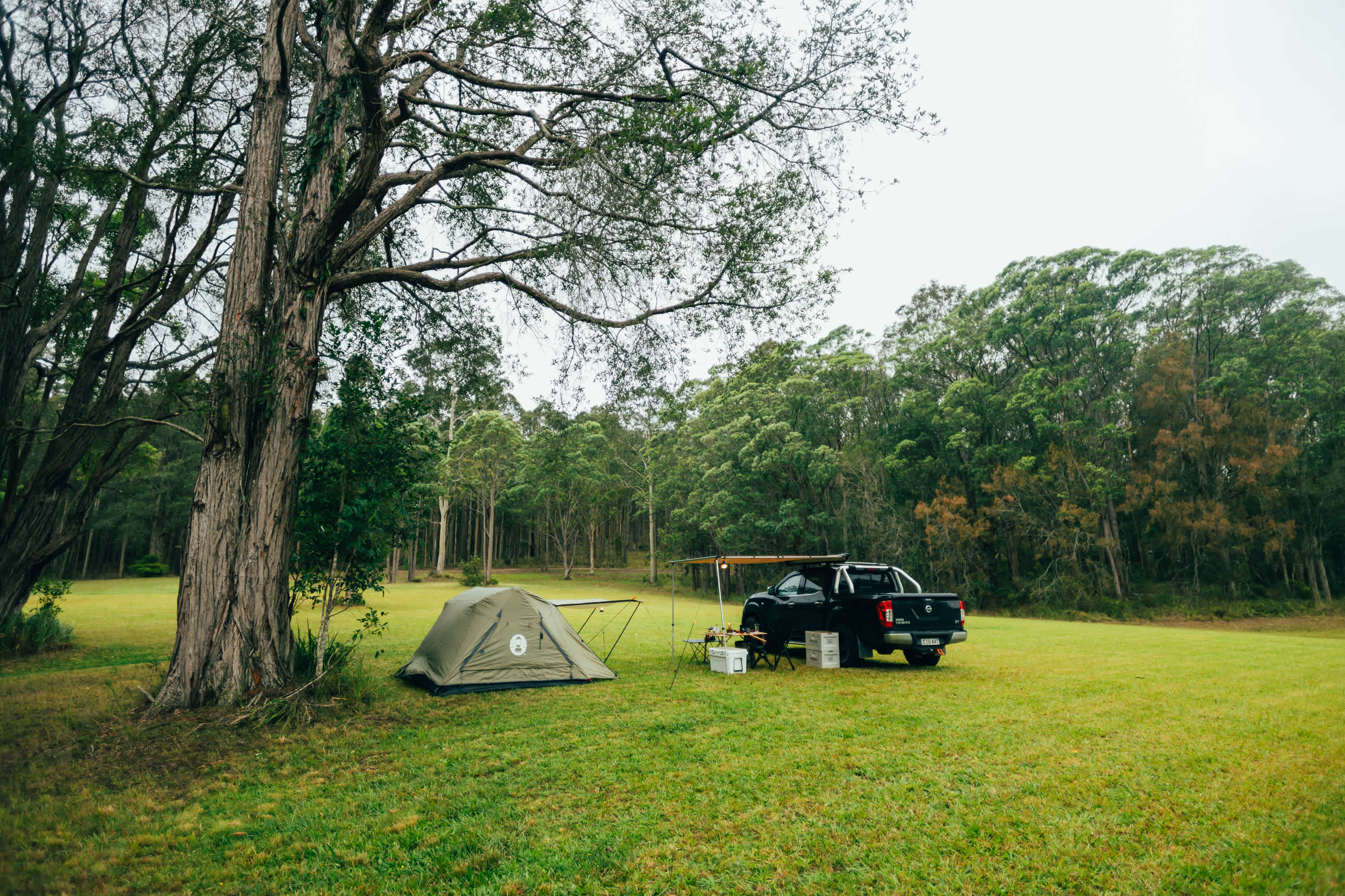 Camp setup 