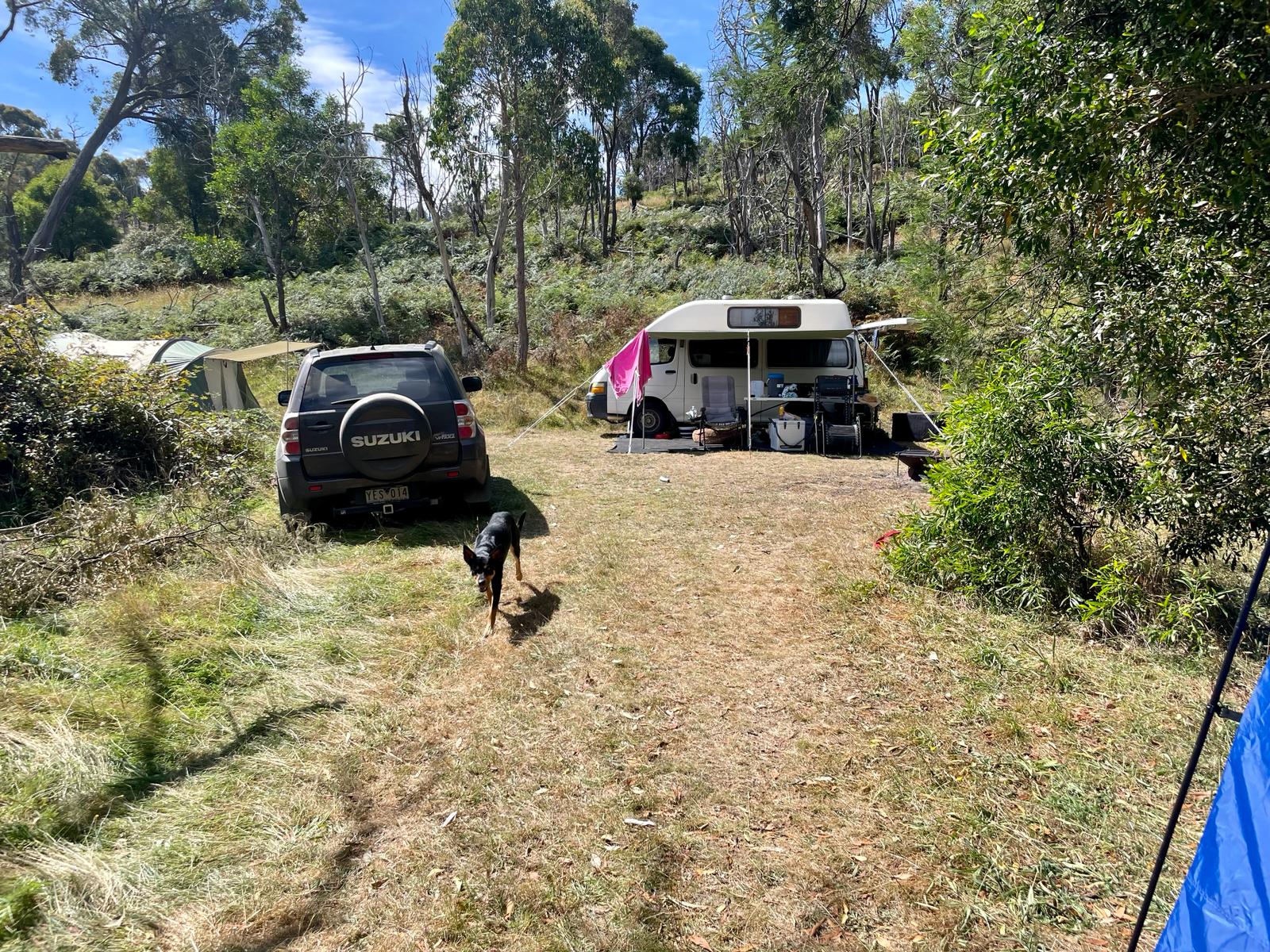 Campsite, van and tent