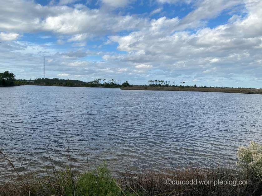The Refuge On Roanoke Island