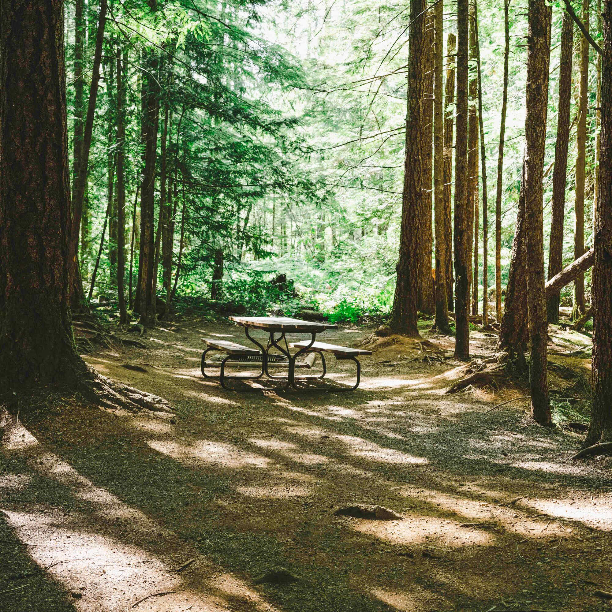 Skokomish Park At Lake Cushman