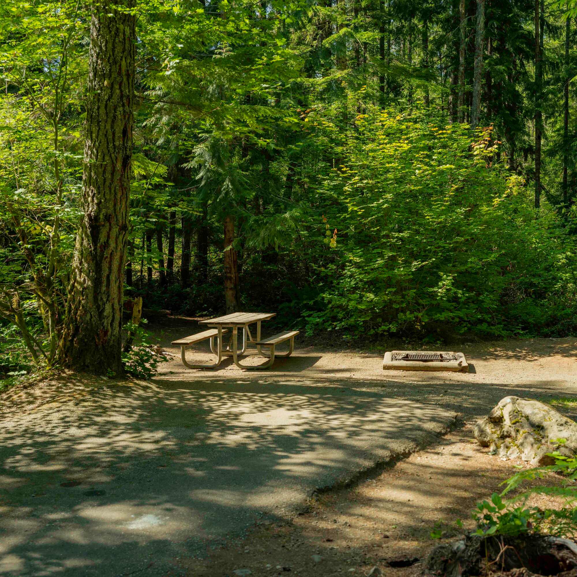 Skokomish Park At Lake Cushman