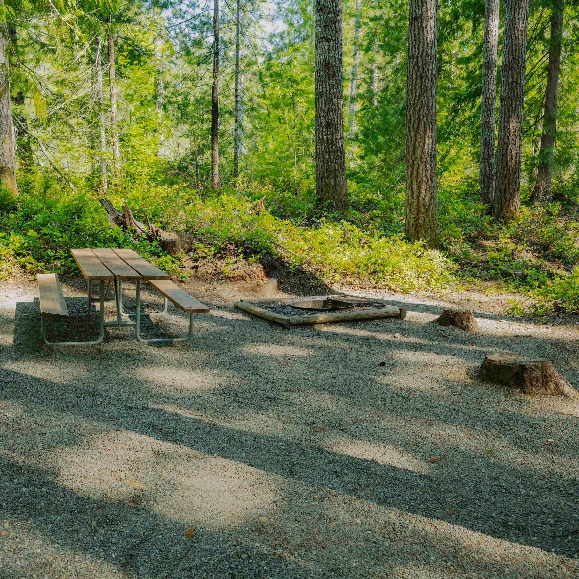 Skokomish Park At Lake Cushman