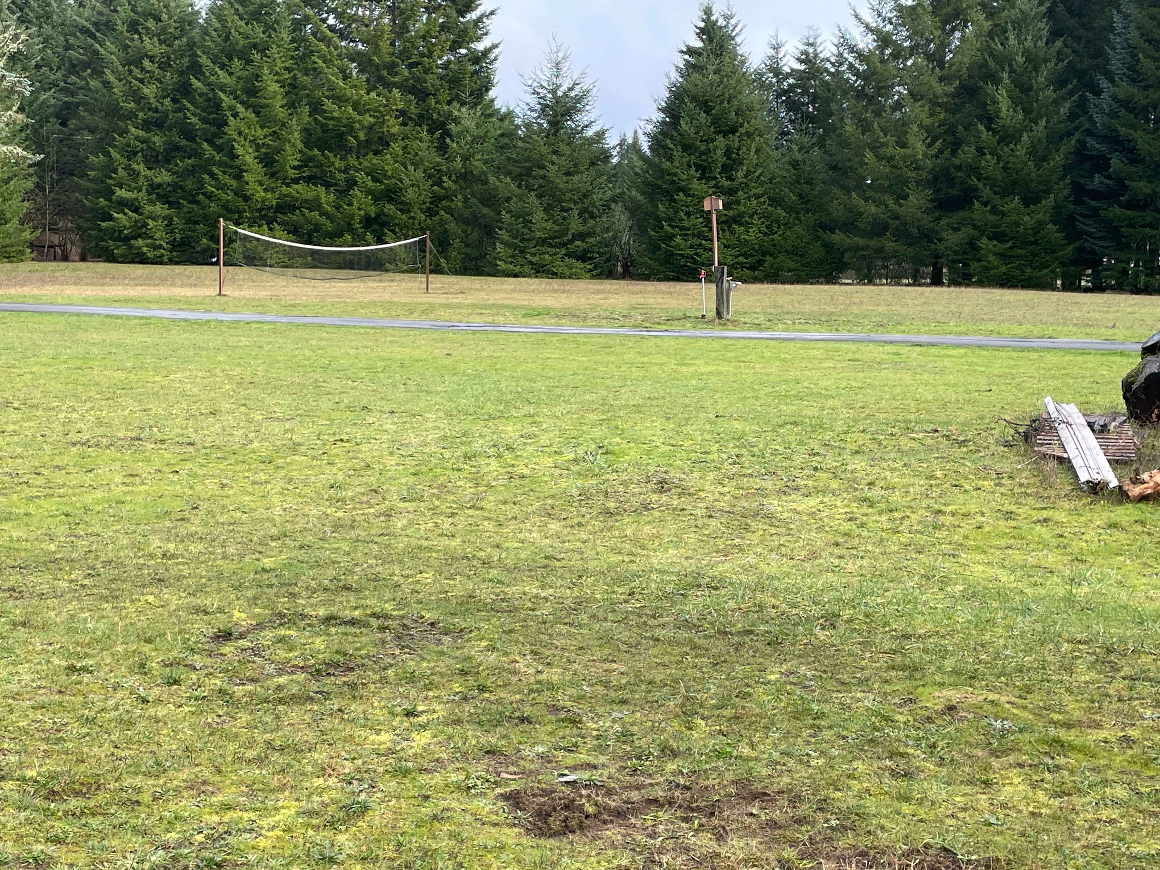 Foreground is Site 3, looking toward site 1 and volleyball/play field