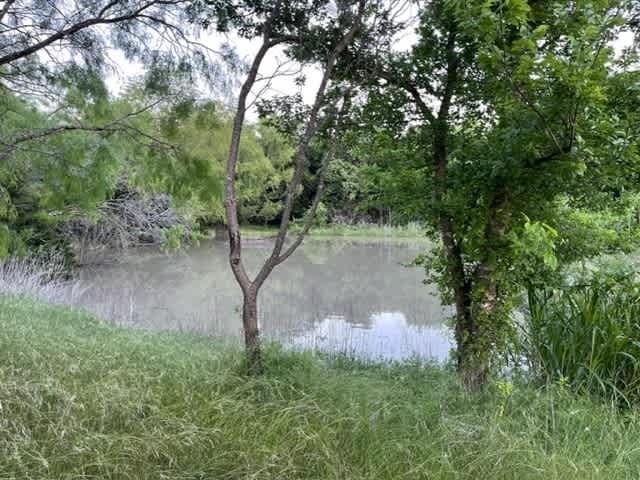 Blue Moon Camping TX