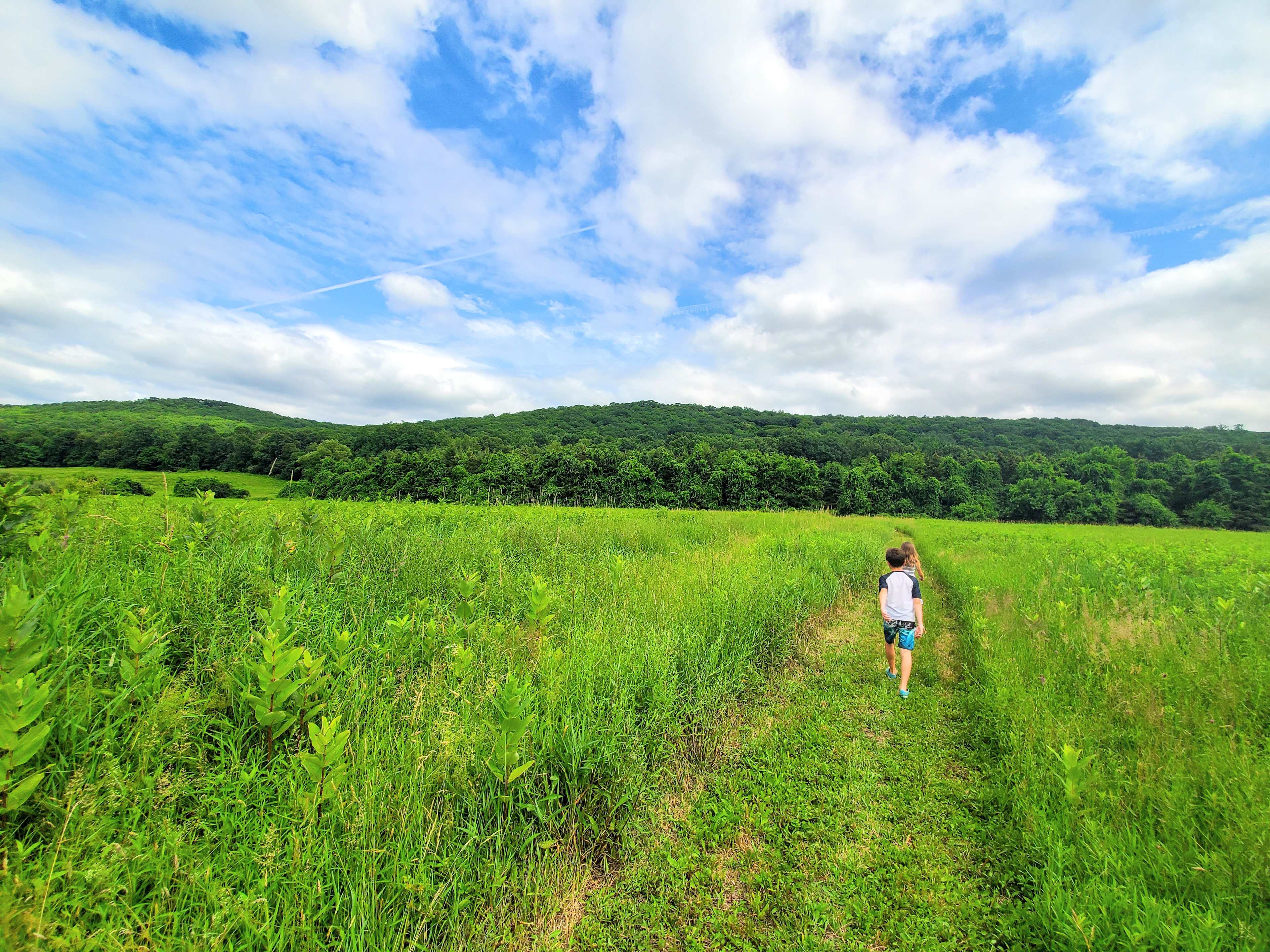 Maybrook Farm - The Ridge