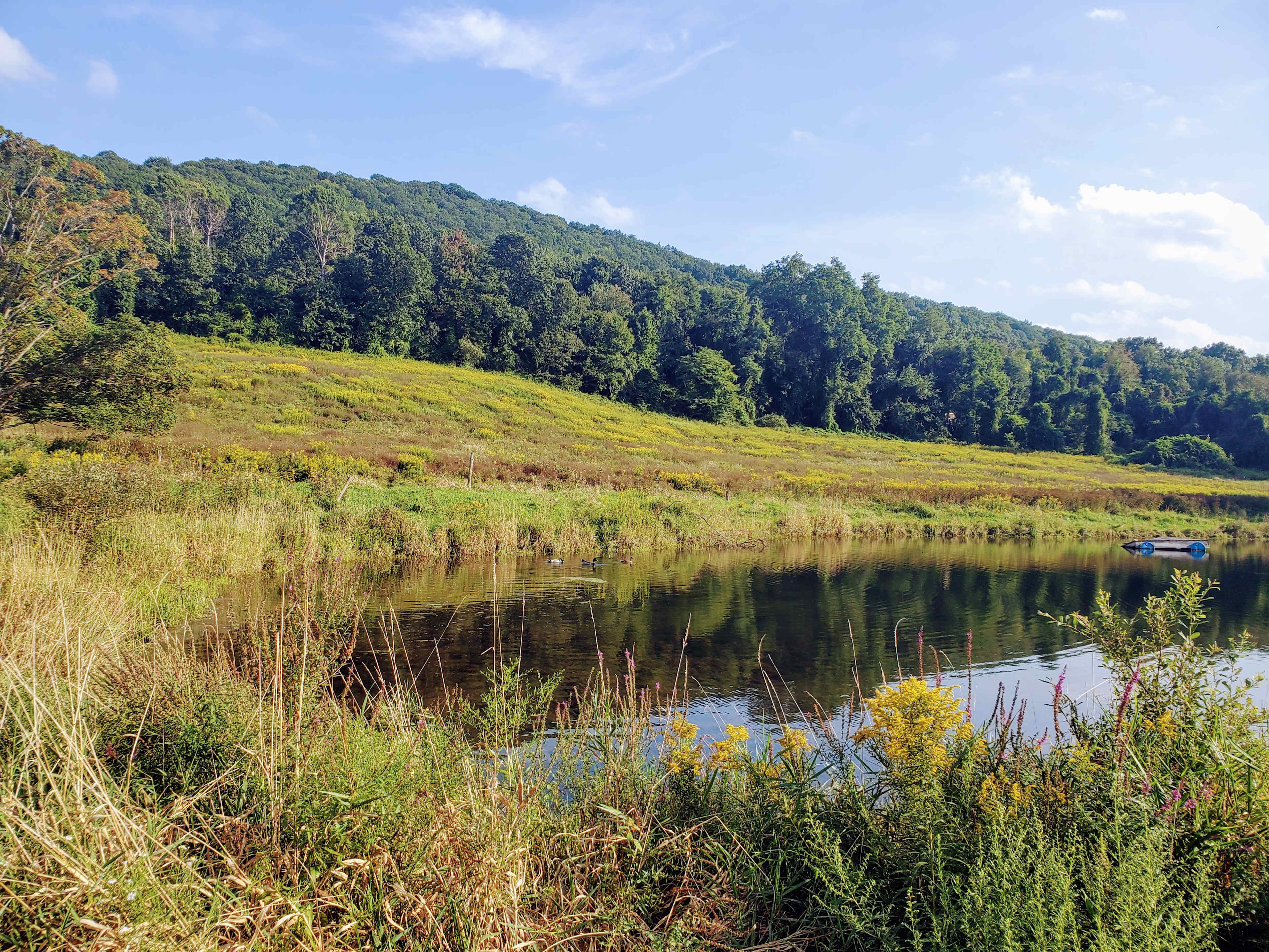 Maybrook Farm - The Ridge