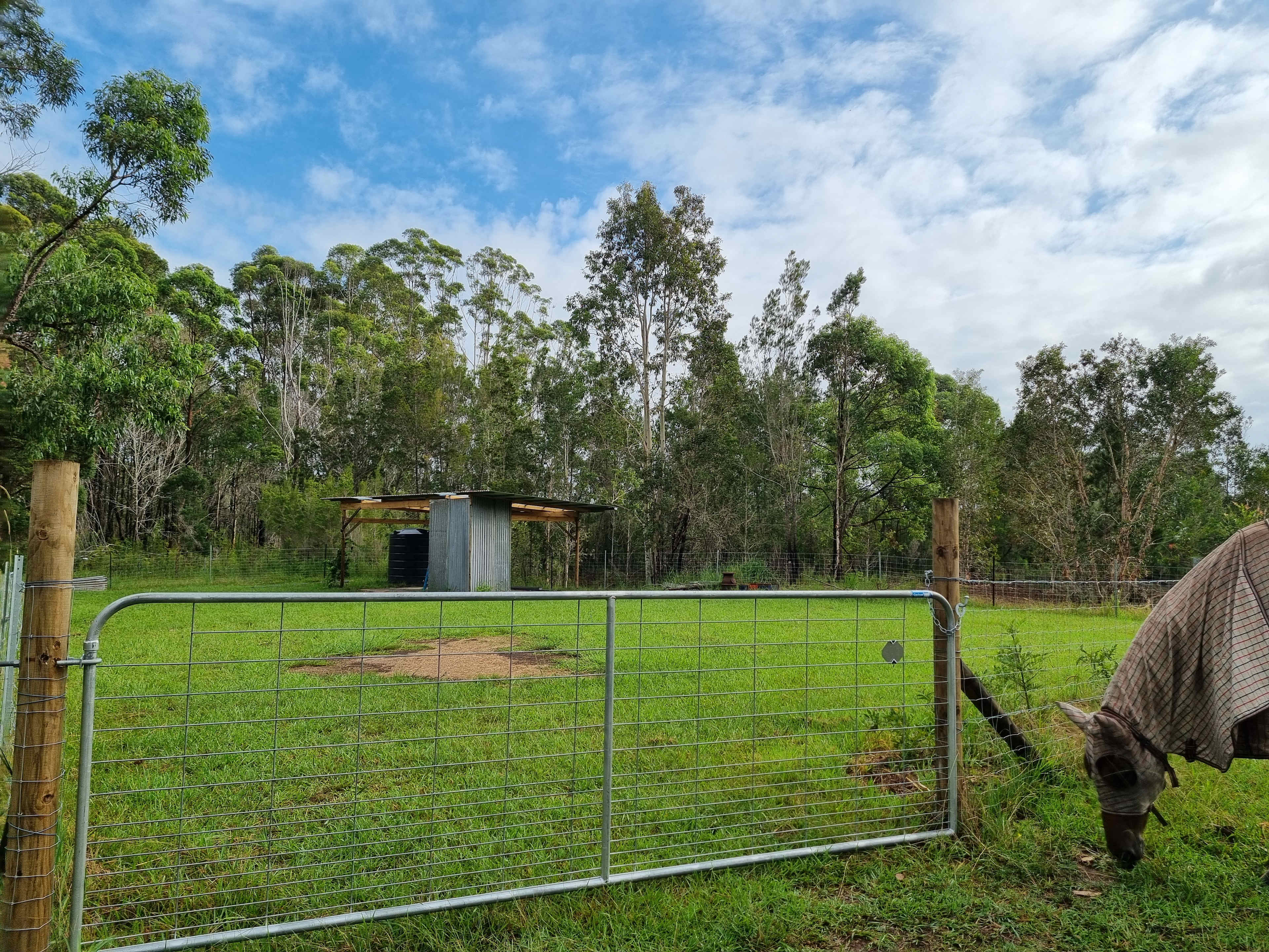 Diamond Park Campsite