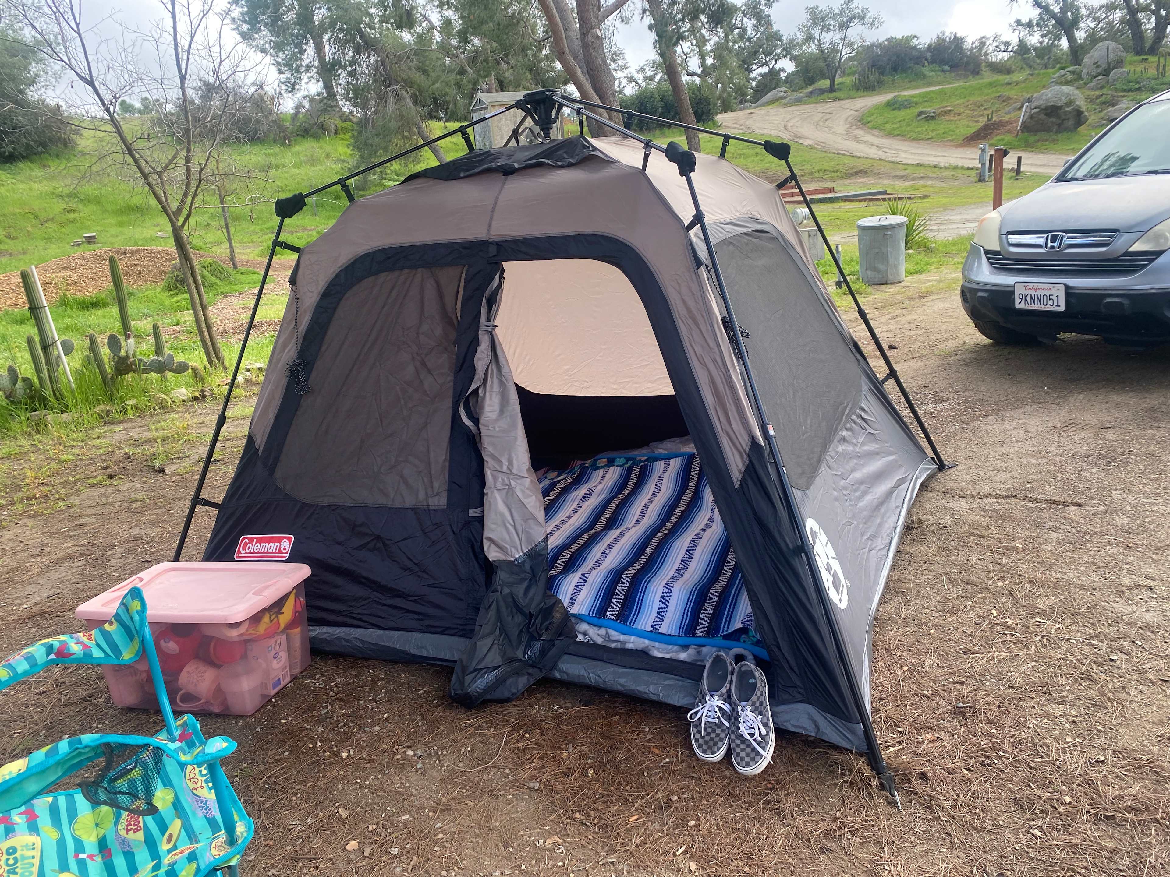 Picture of the site