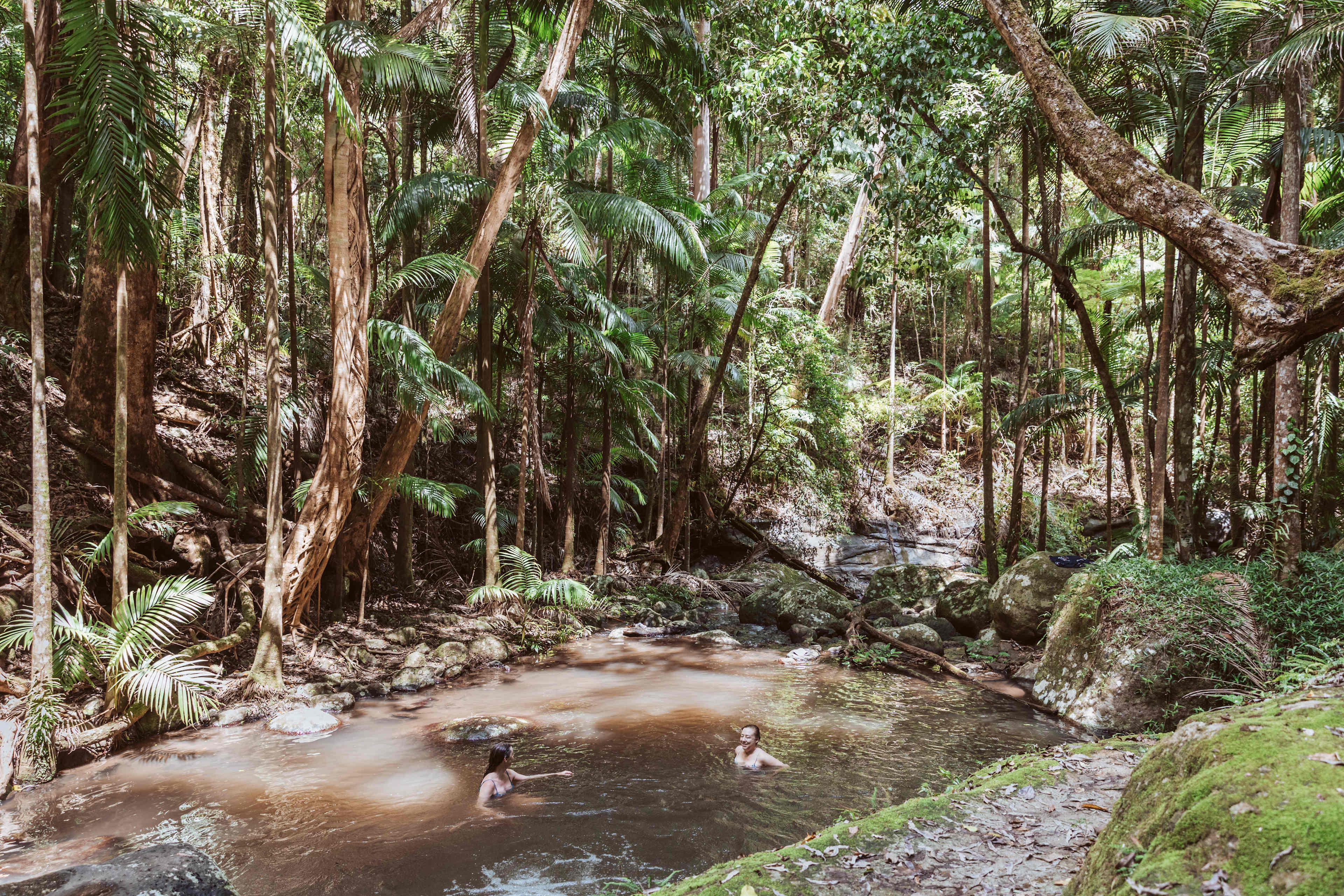 Bower Camp Co. - Border Ranges