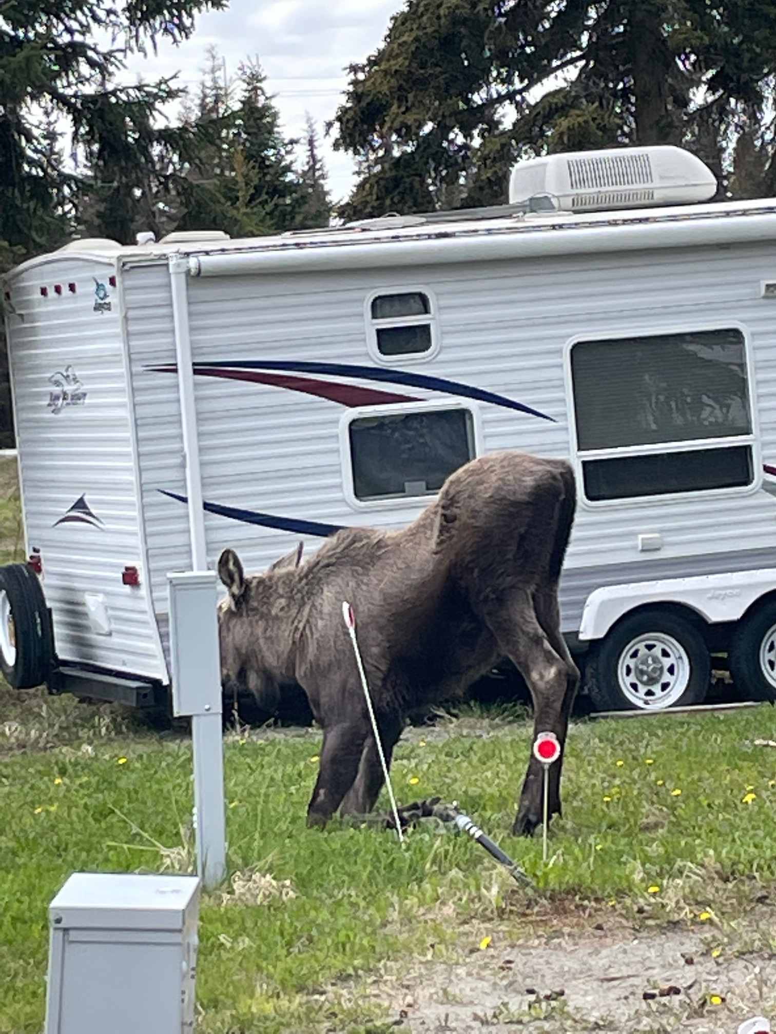 Albatross Campground RESERVATIONS