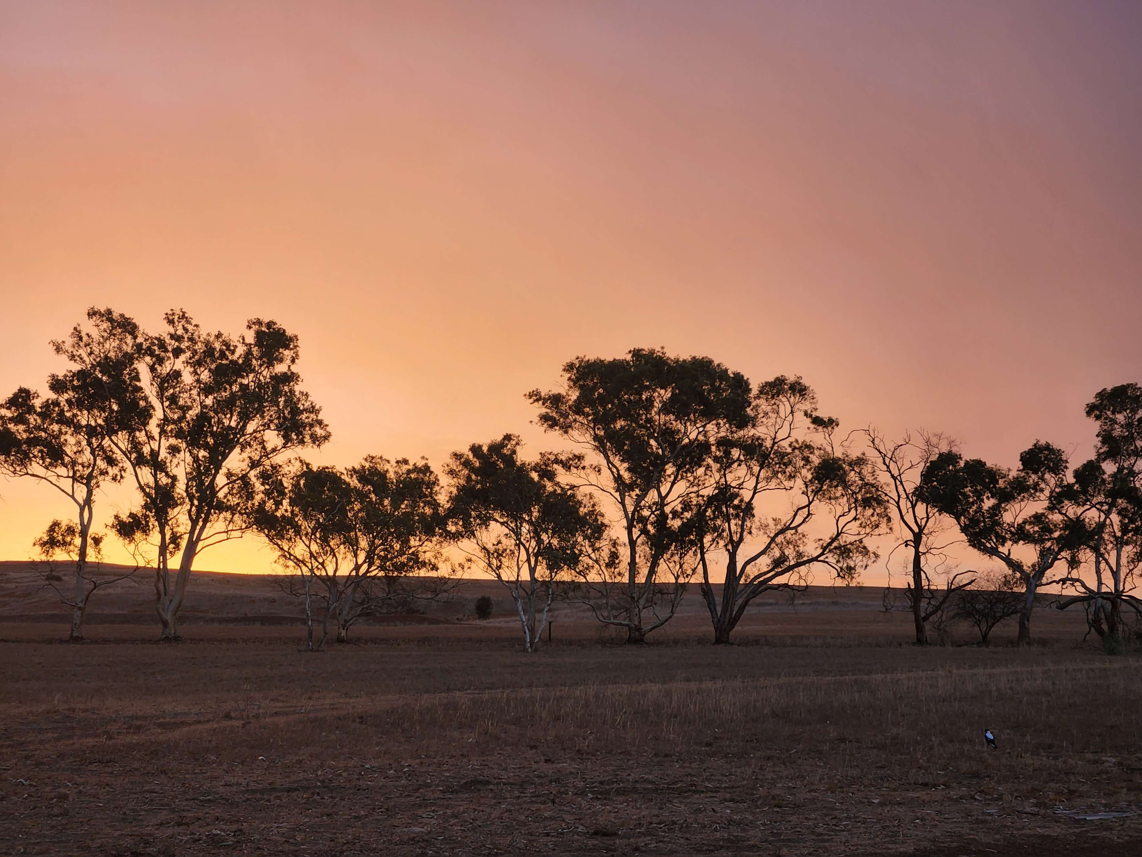 Beautiful sunsets