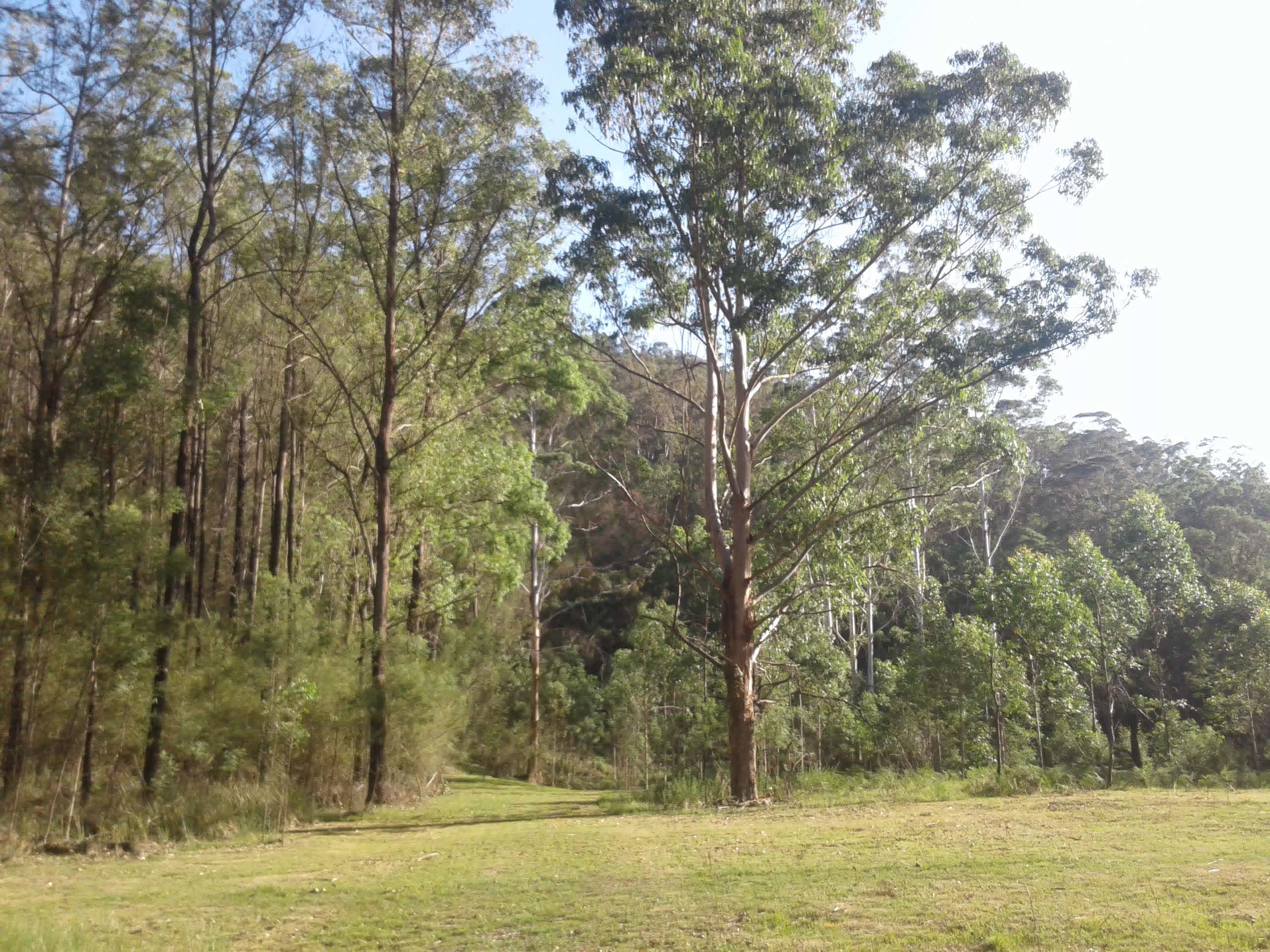 Wollombi Private Earthways camp