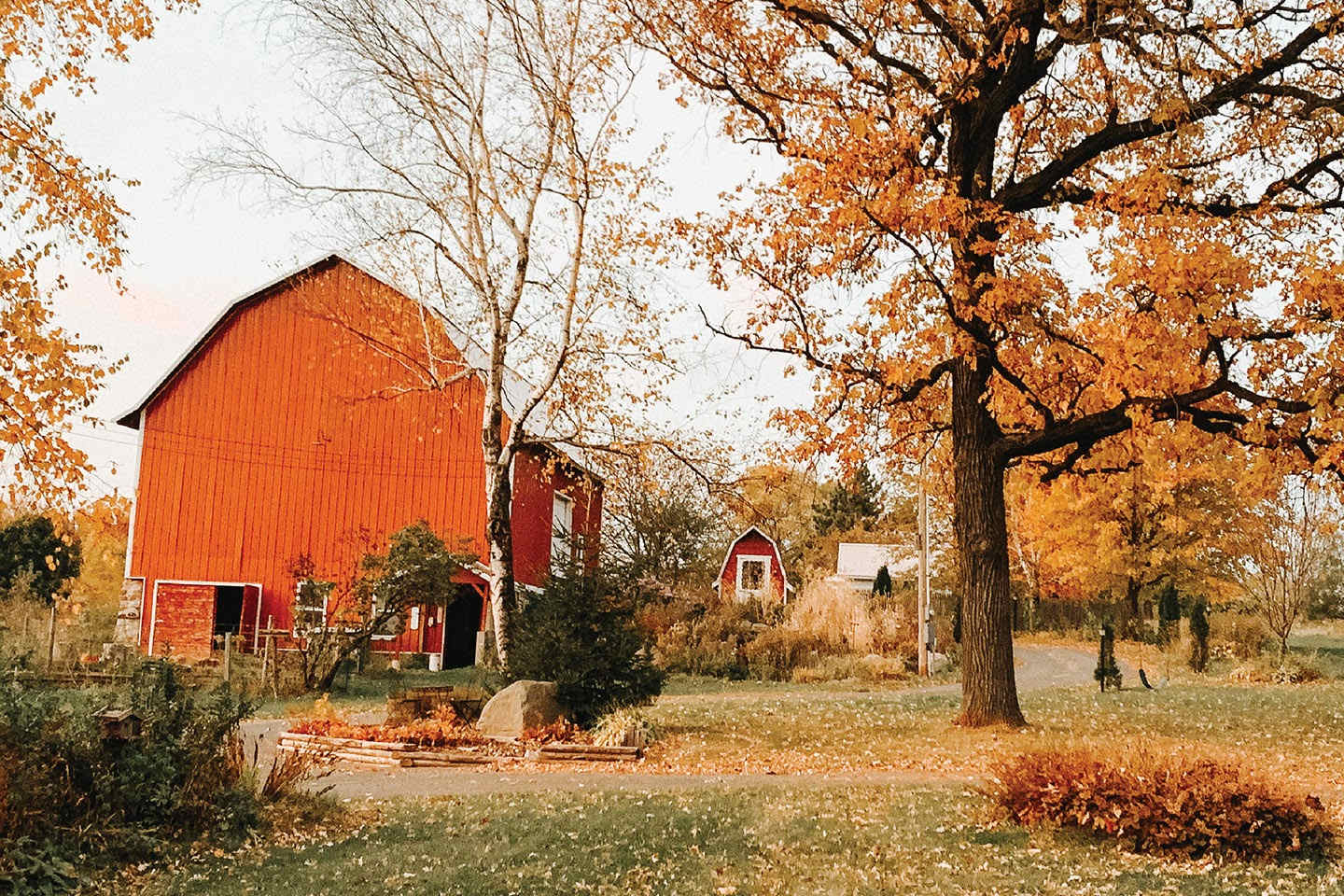 Birdi&June Farm Cottage
