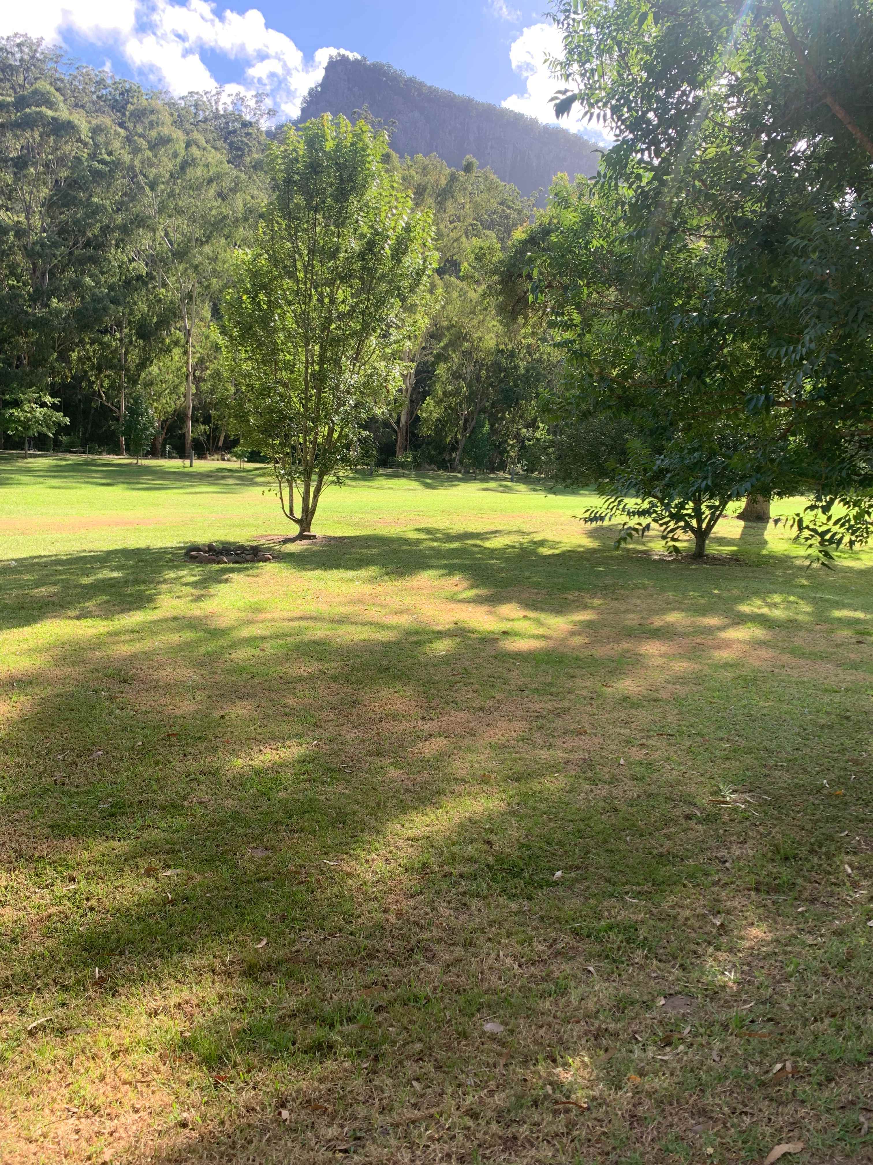 Broangus Bomber Wreck Rest