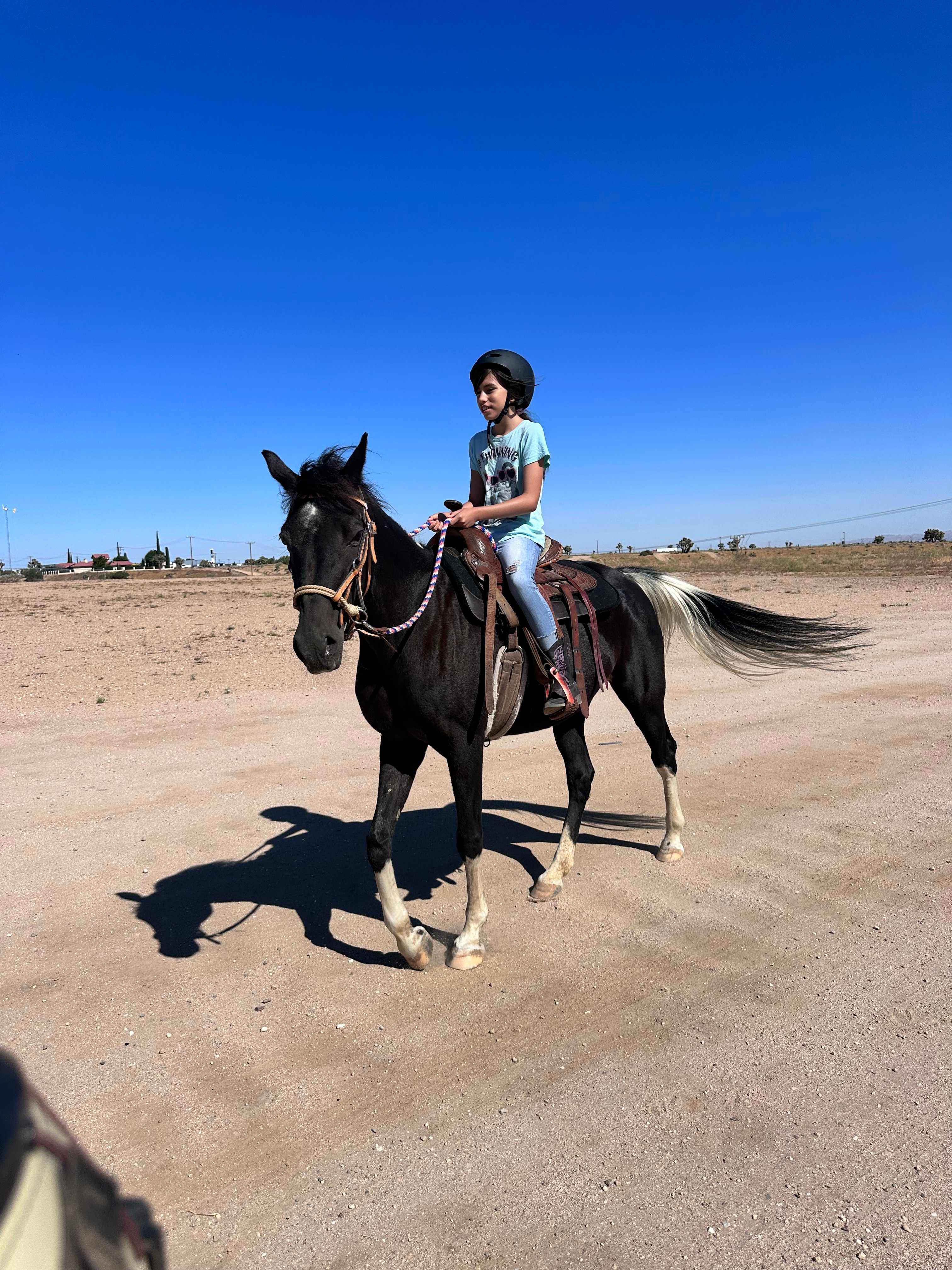 Wild Wind Ranch
