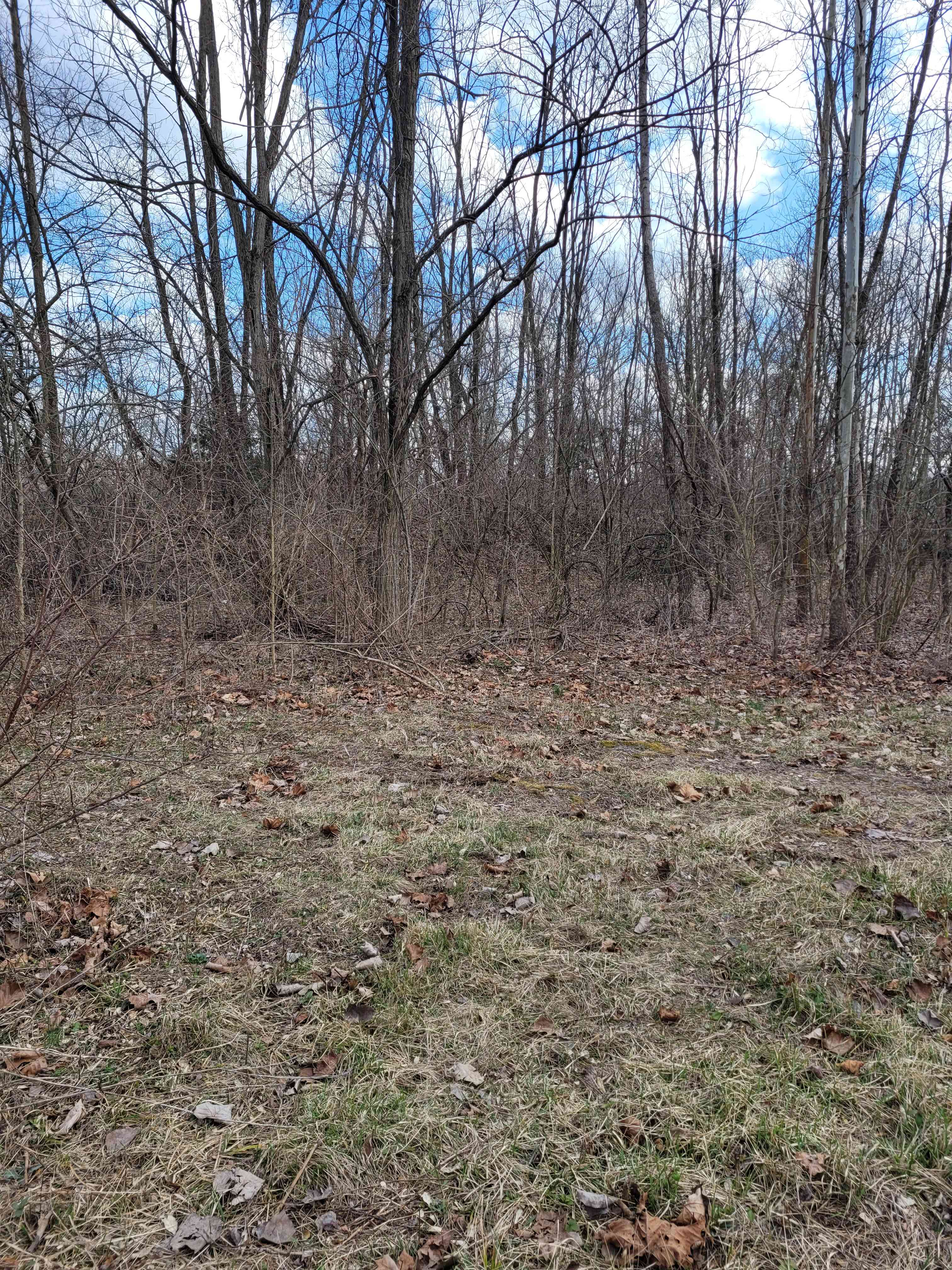 Henge area