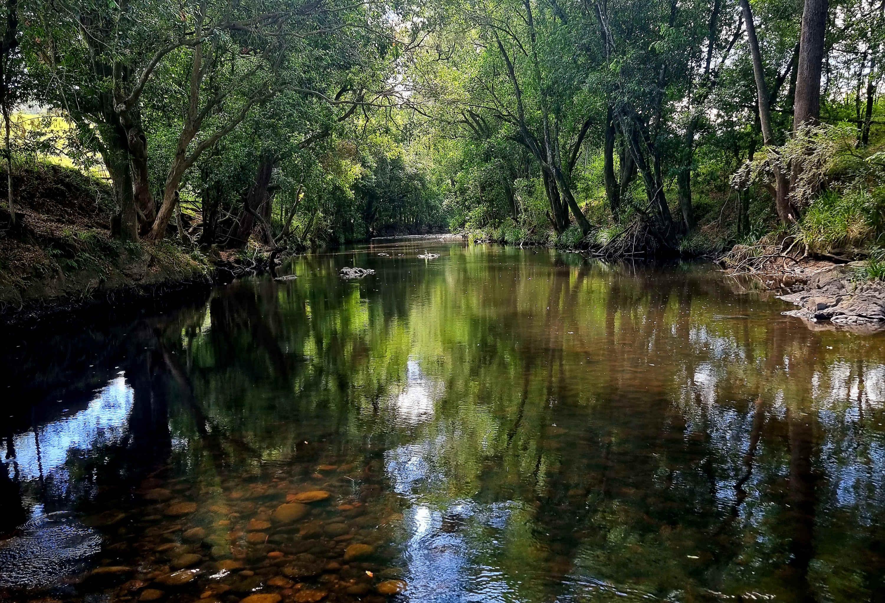 Willowbank