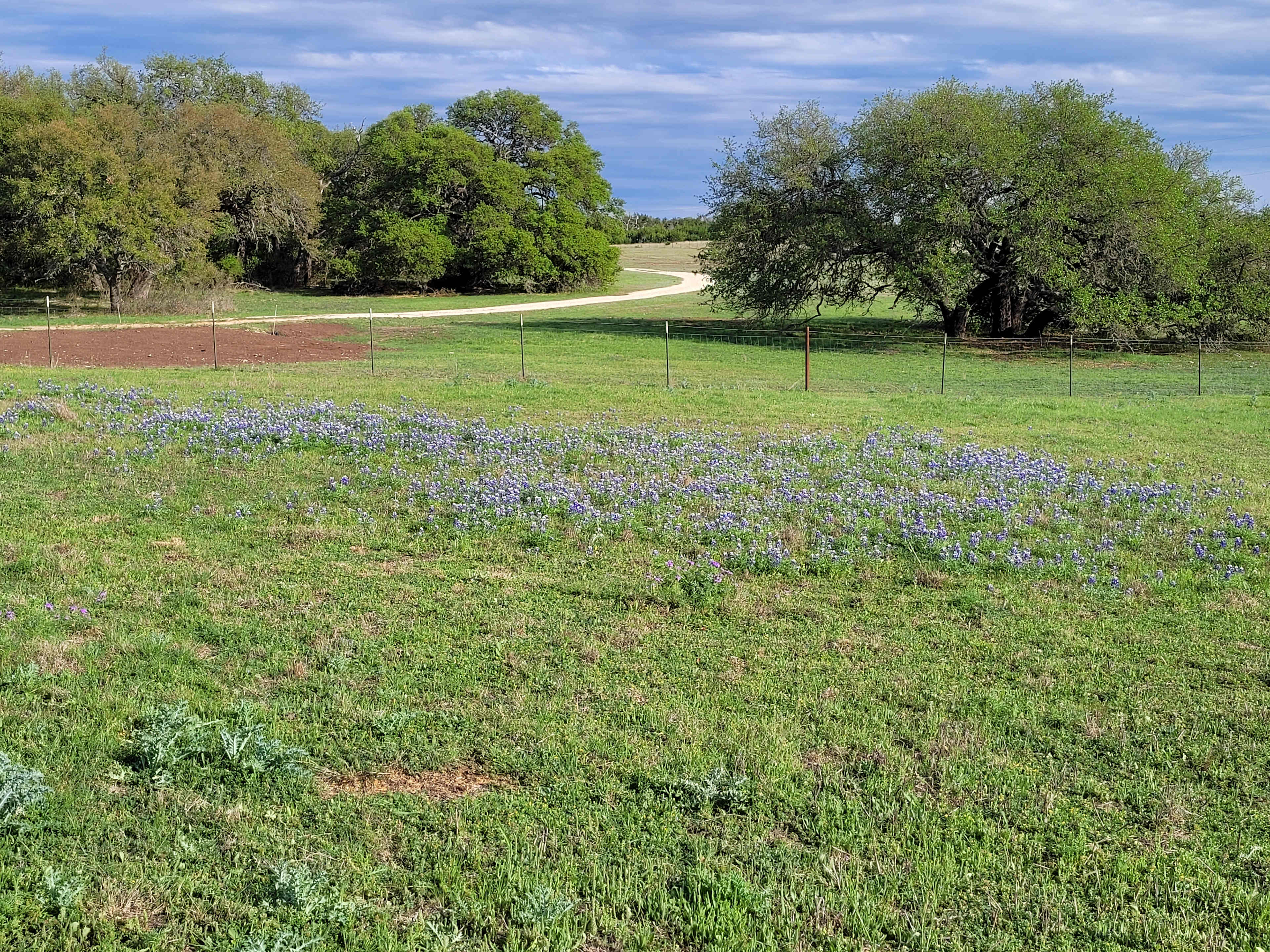 Sappho Ranch