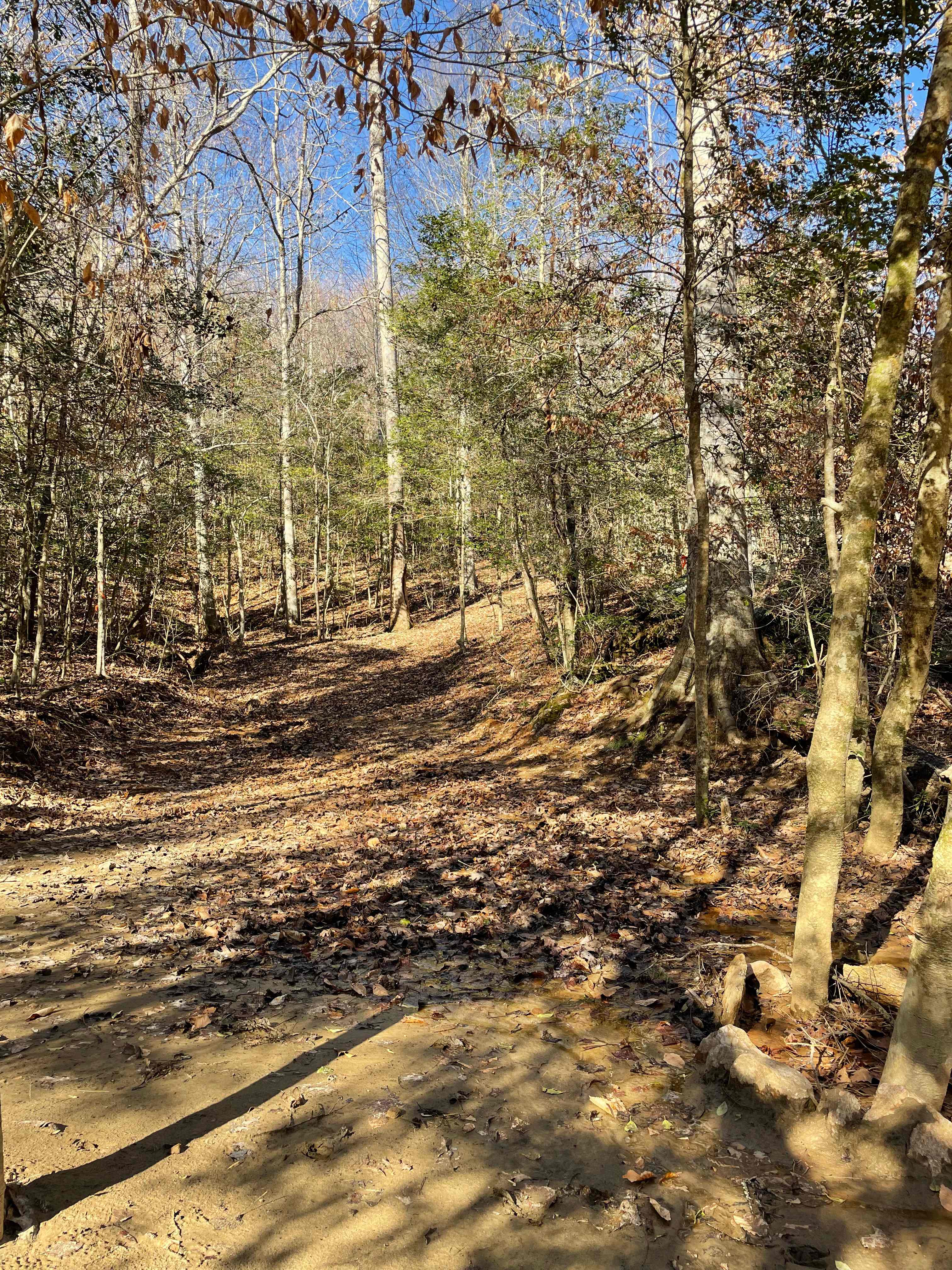 Carl’s Campsites - Riverside