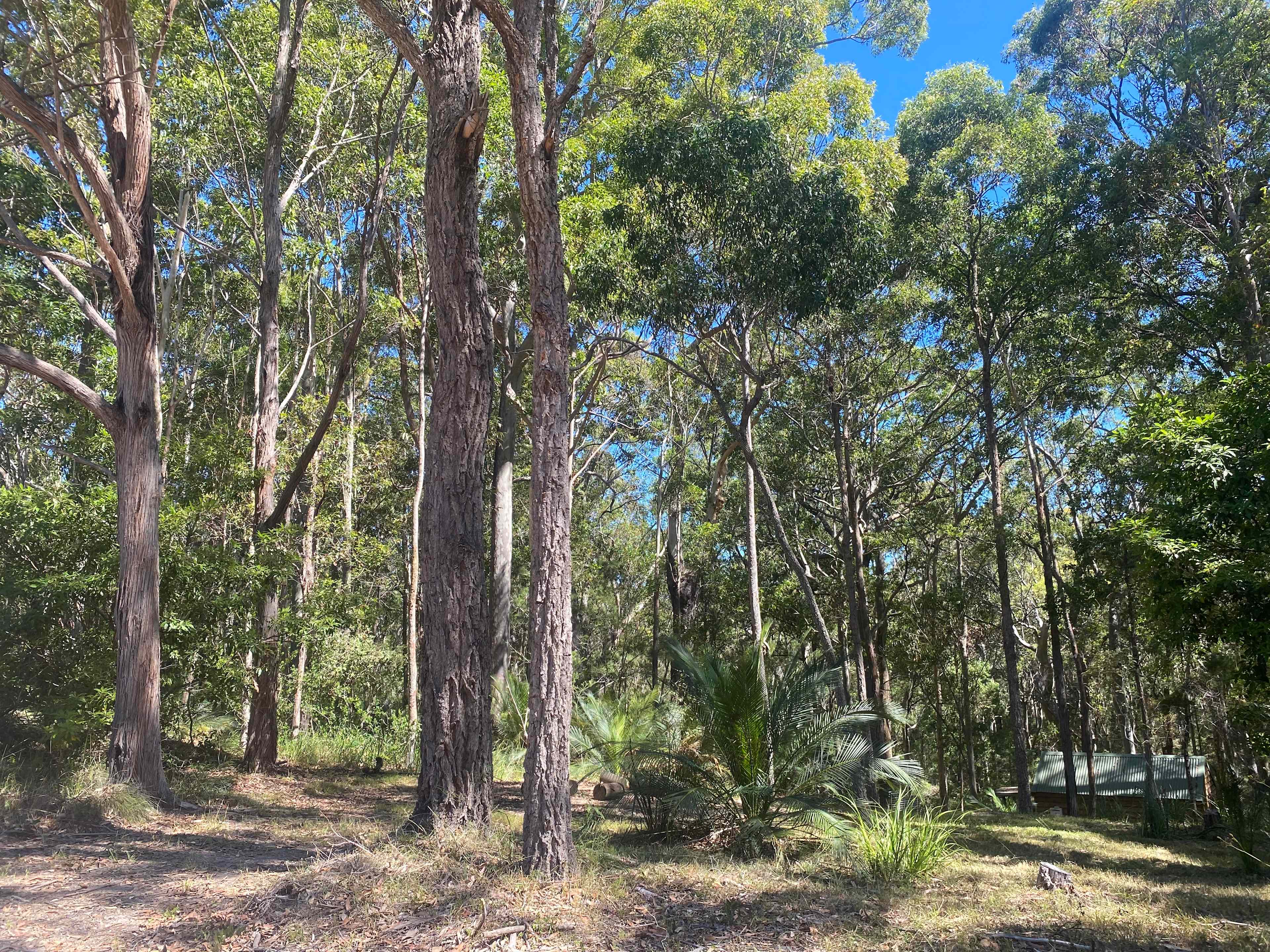 Rosedale Bush Stopover
