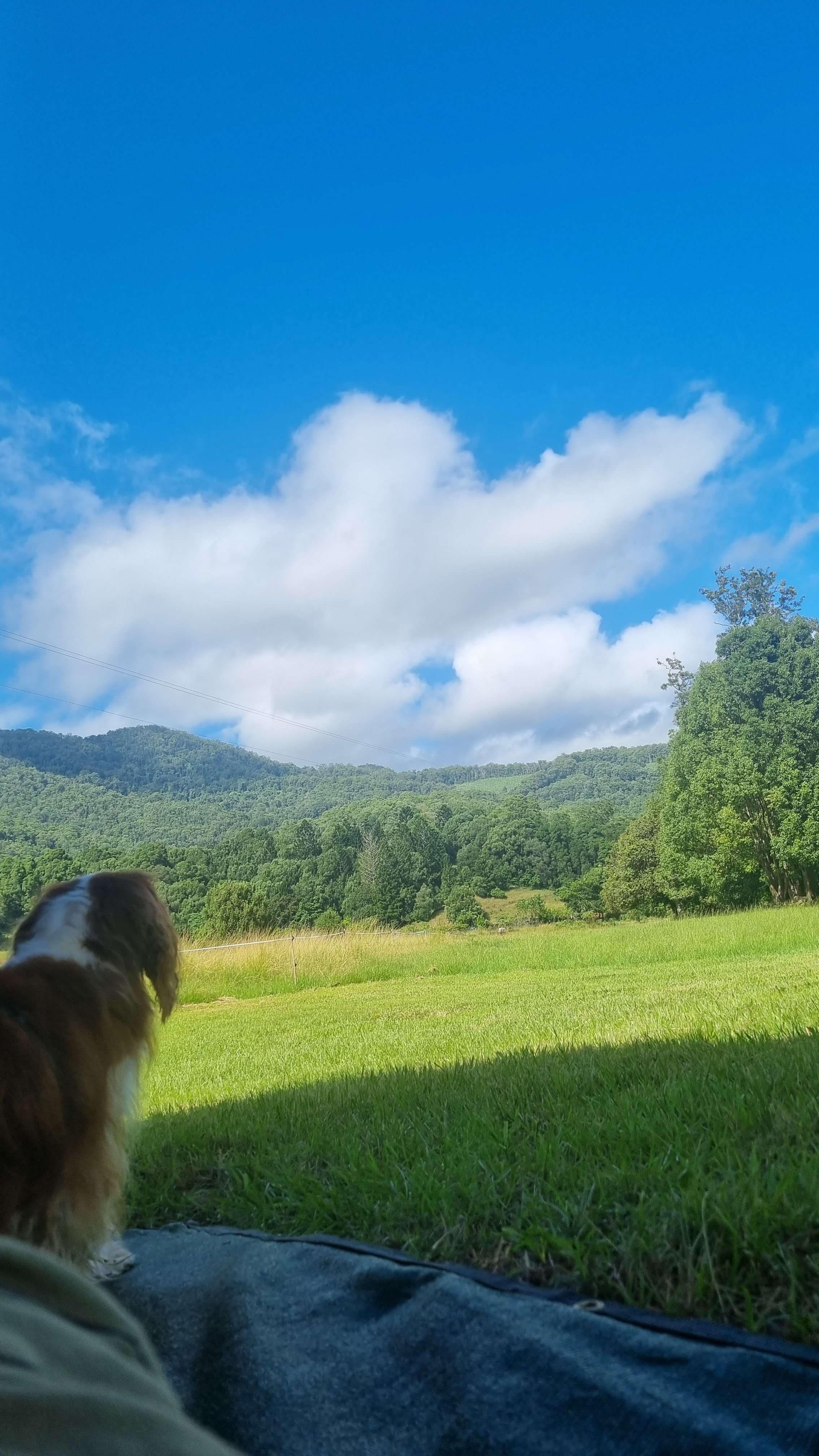 Blue skies