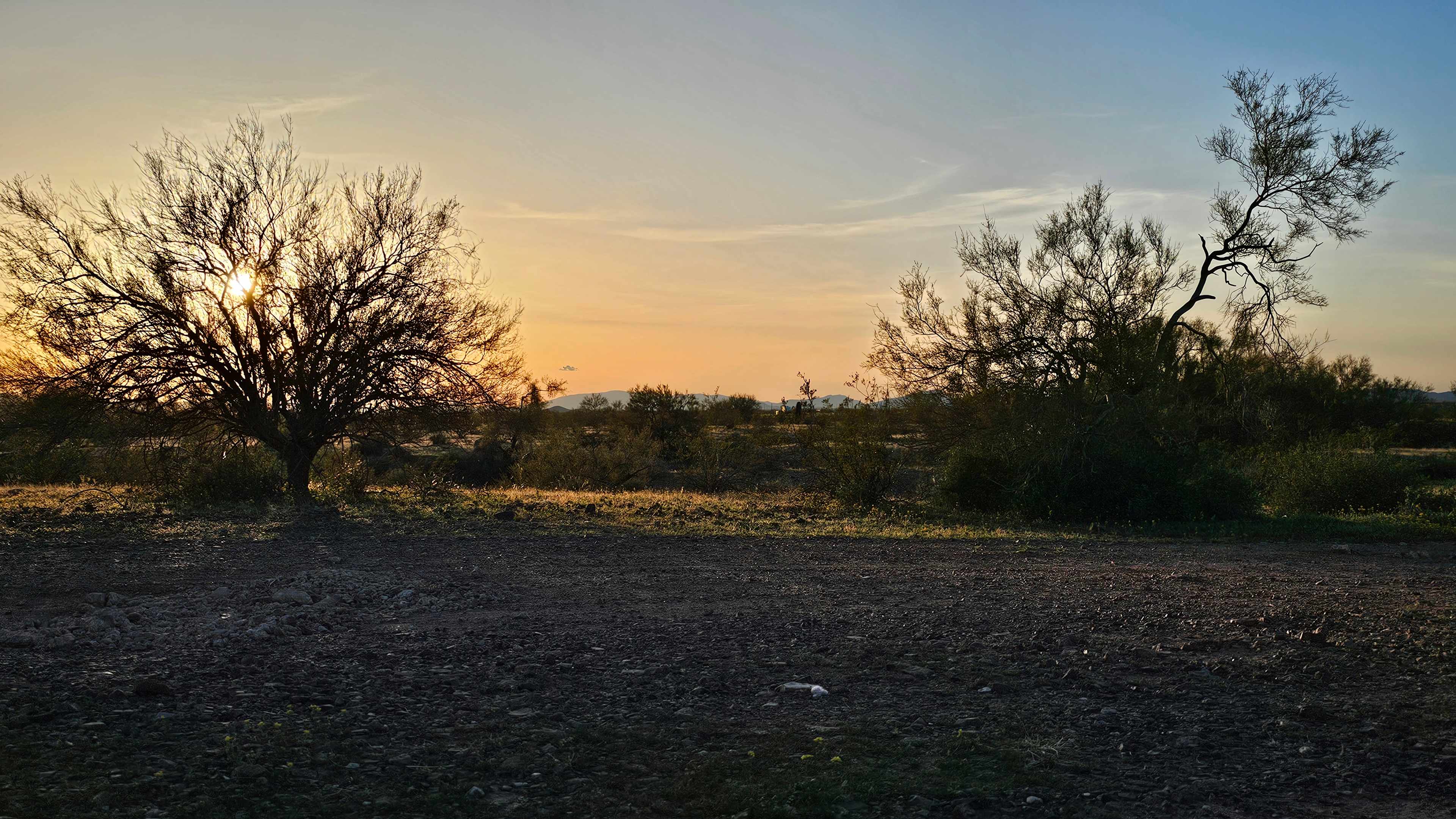 Wreck It Ranch